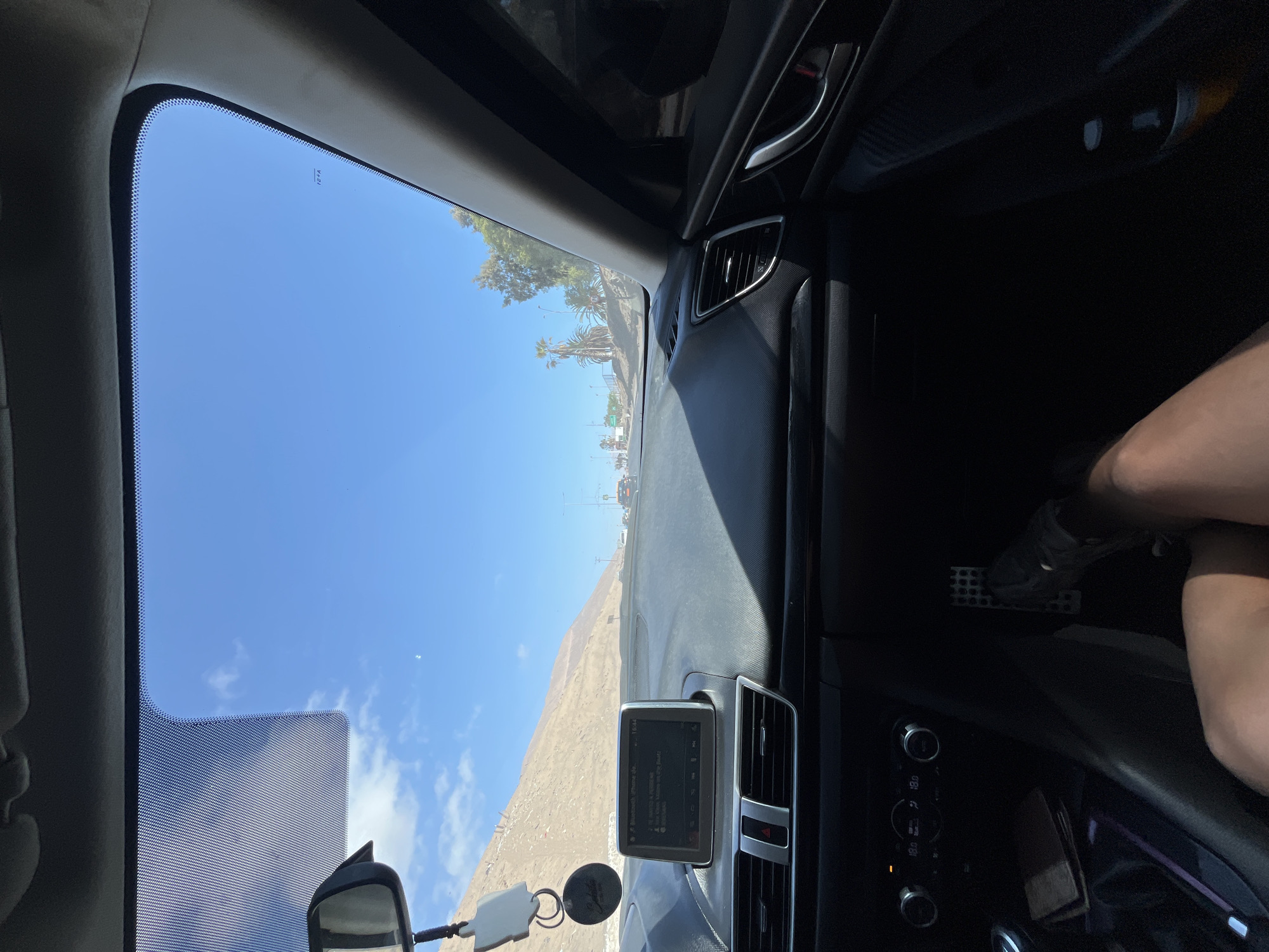 Driver's view of road approaching palm-lined town