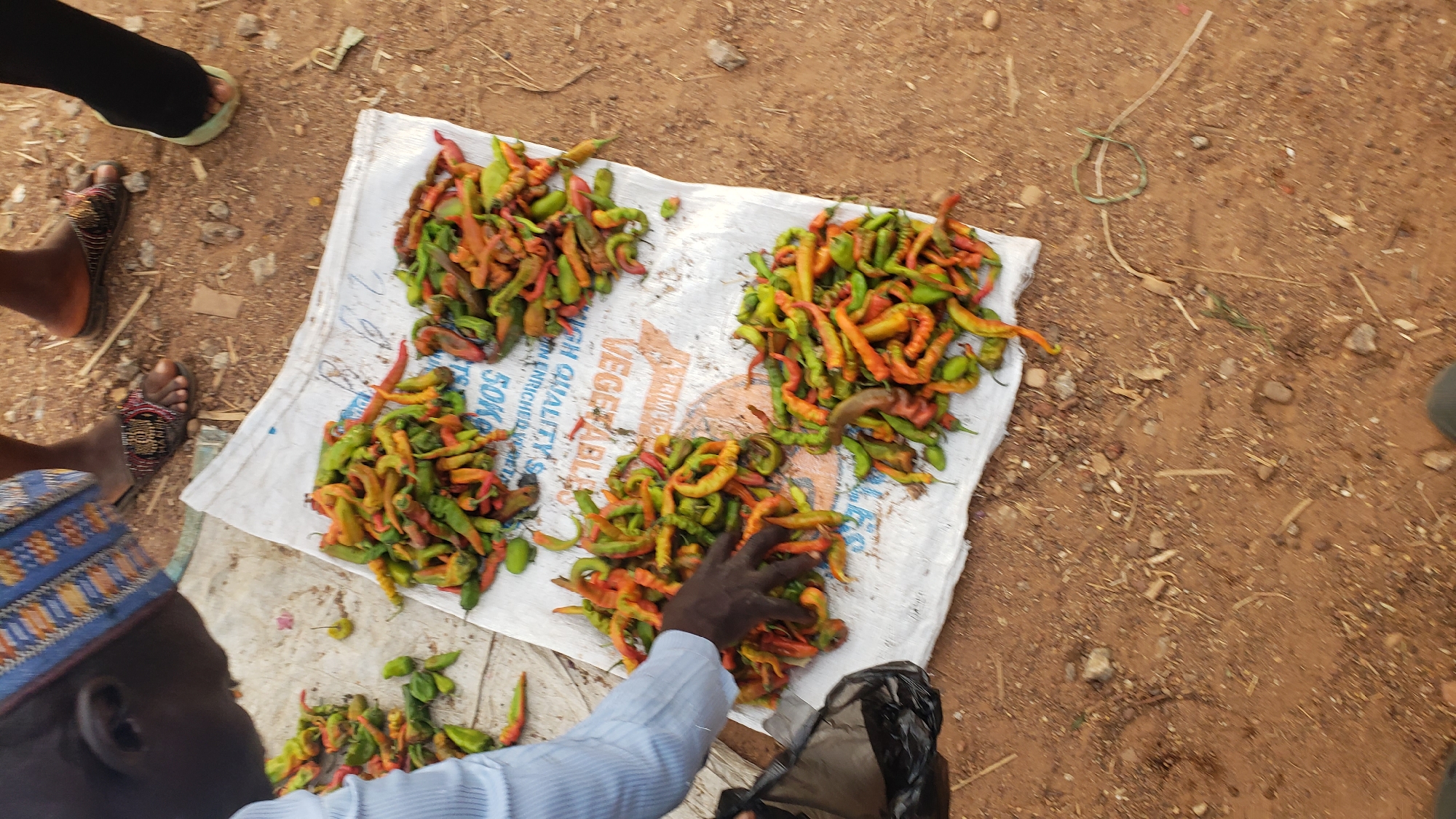 Outdoor market bustles with vendors in Rido, Nigeria