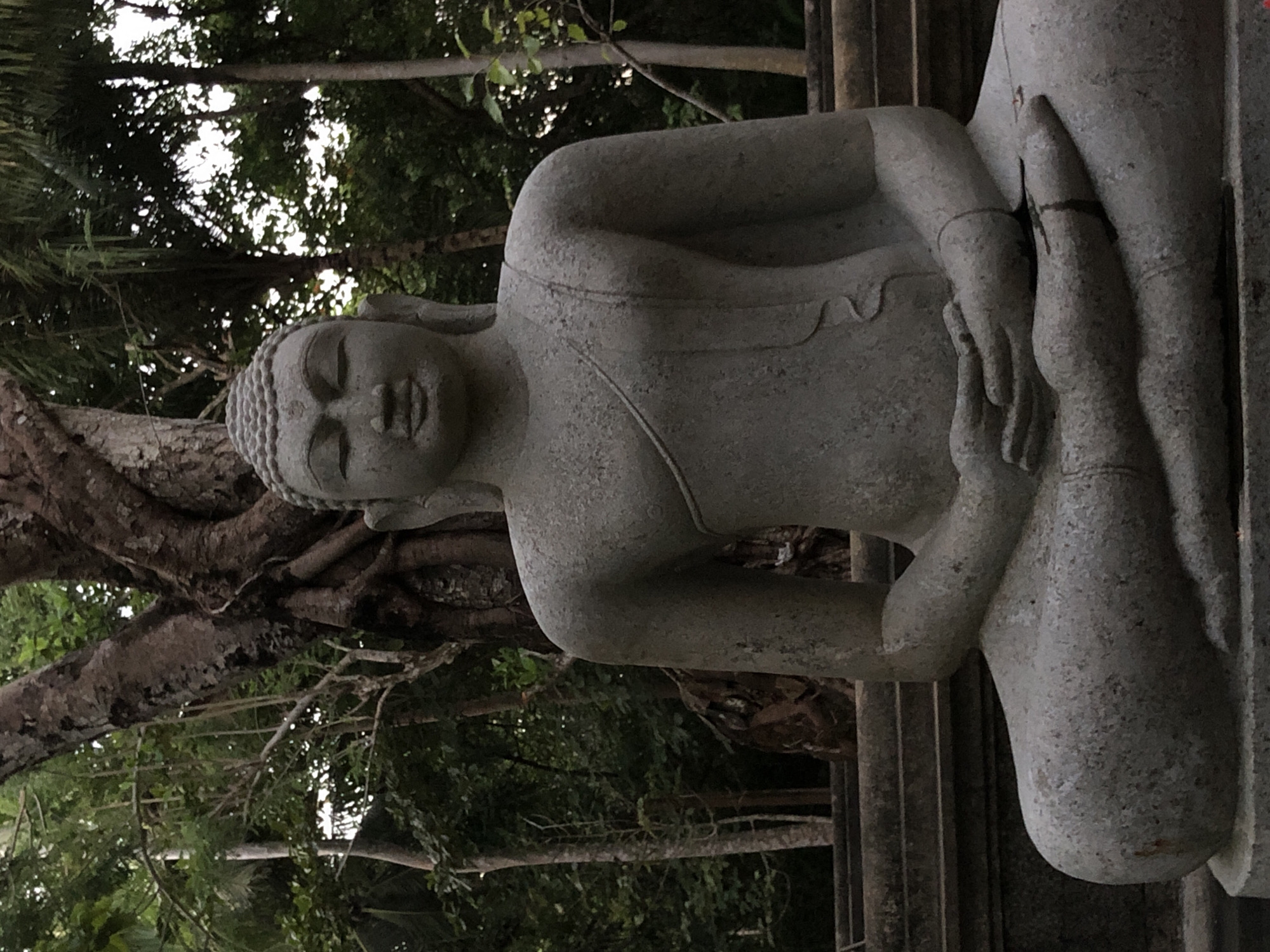 Lagoons, cattle, and Buddha figures along Sri Lanka's southern coast