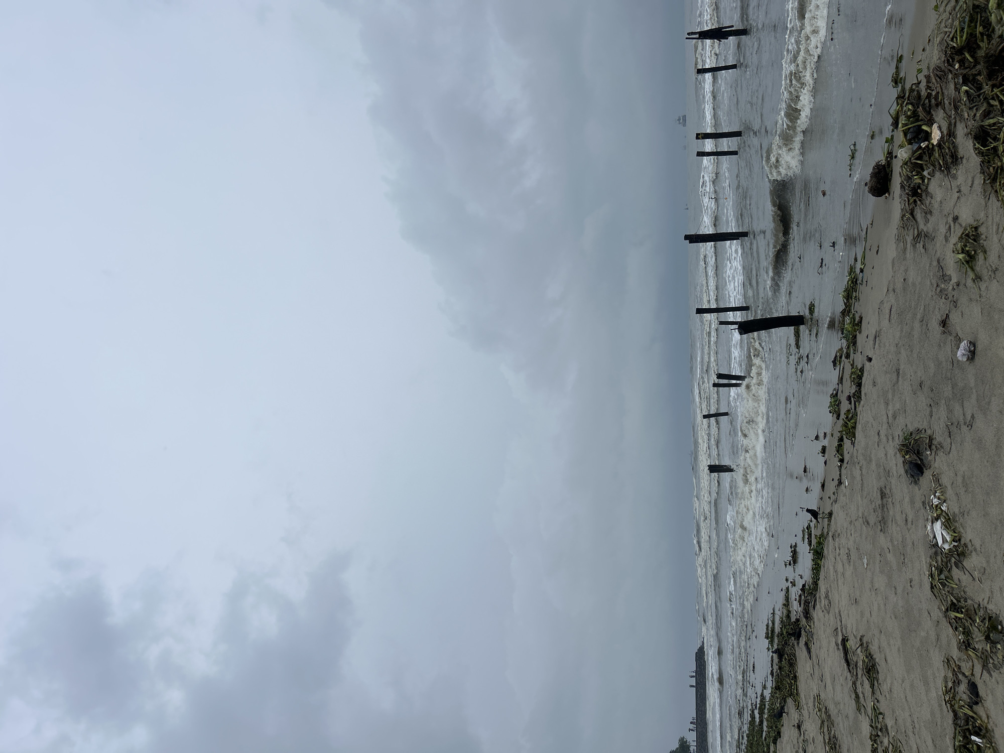 Morning scenes documented across rainy Kochi during early June 2026