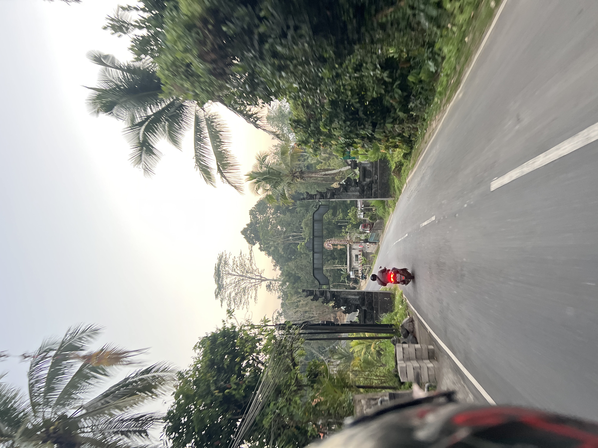 Red scooter heads down a tree-lined road in Tembuku