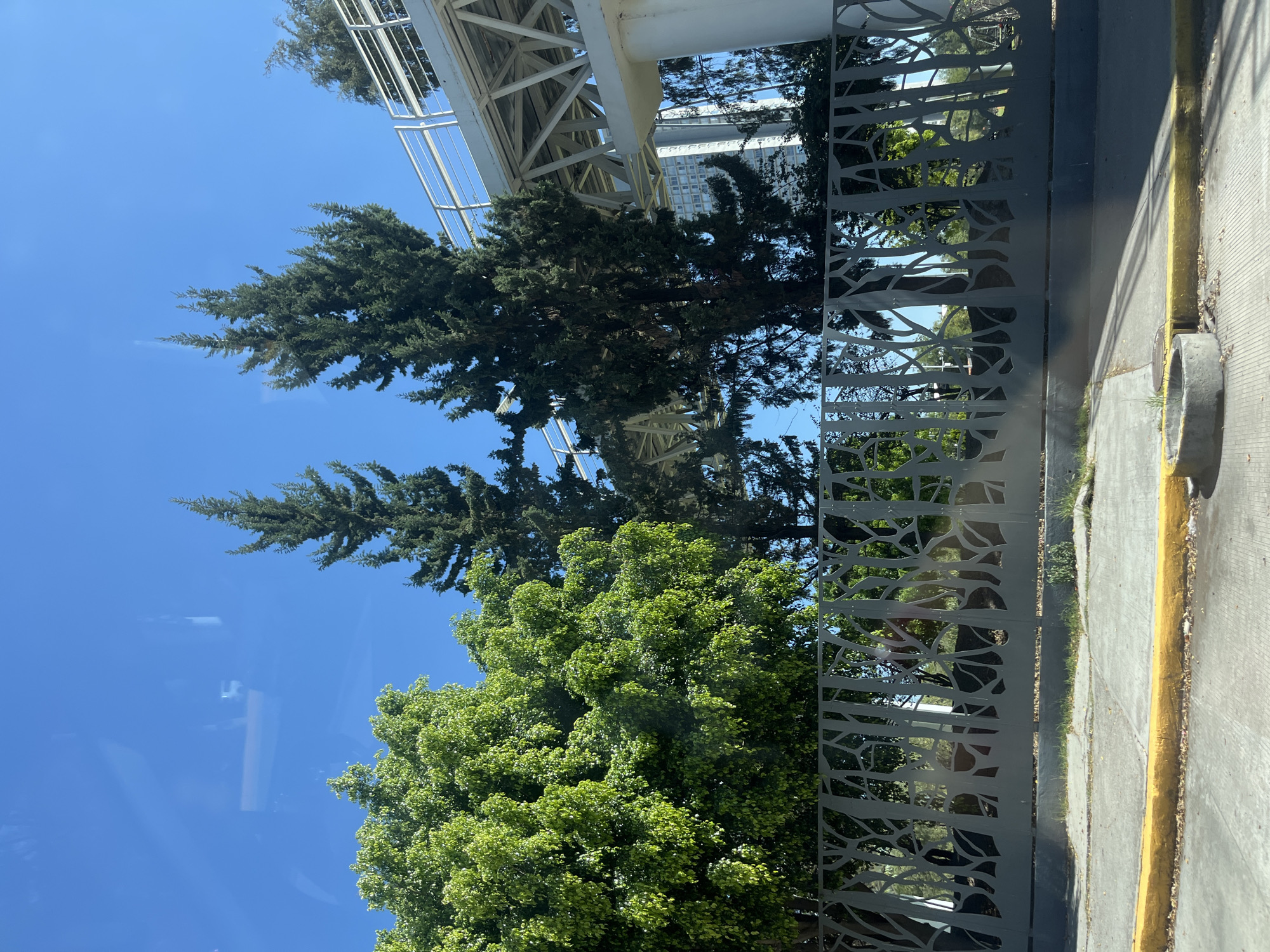 Clear skies and trees observed from vehicle in Puebla