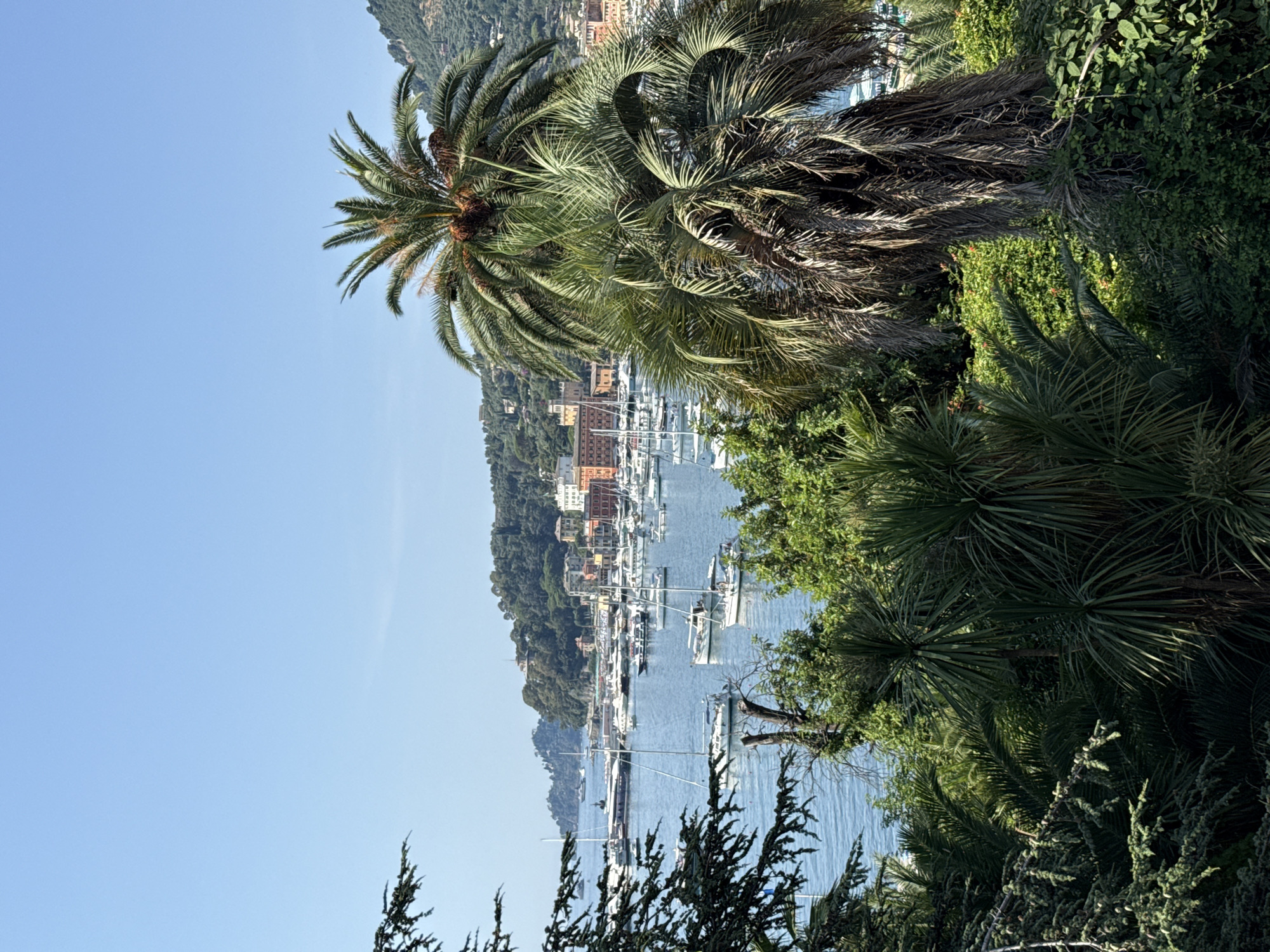 Calm morning at Santa Margherita Ligure's sailboat-filled harbor