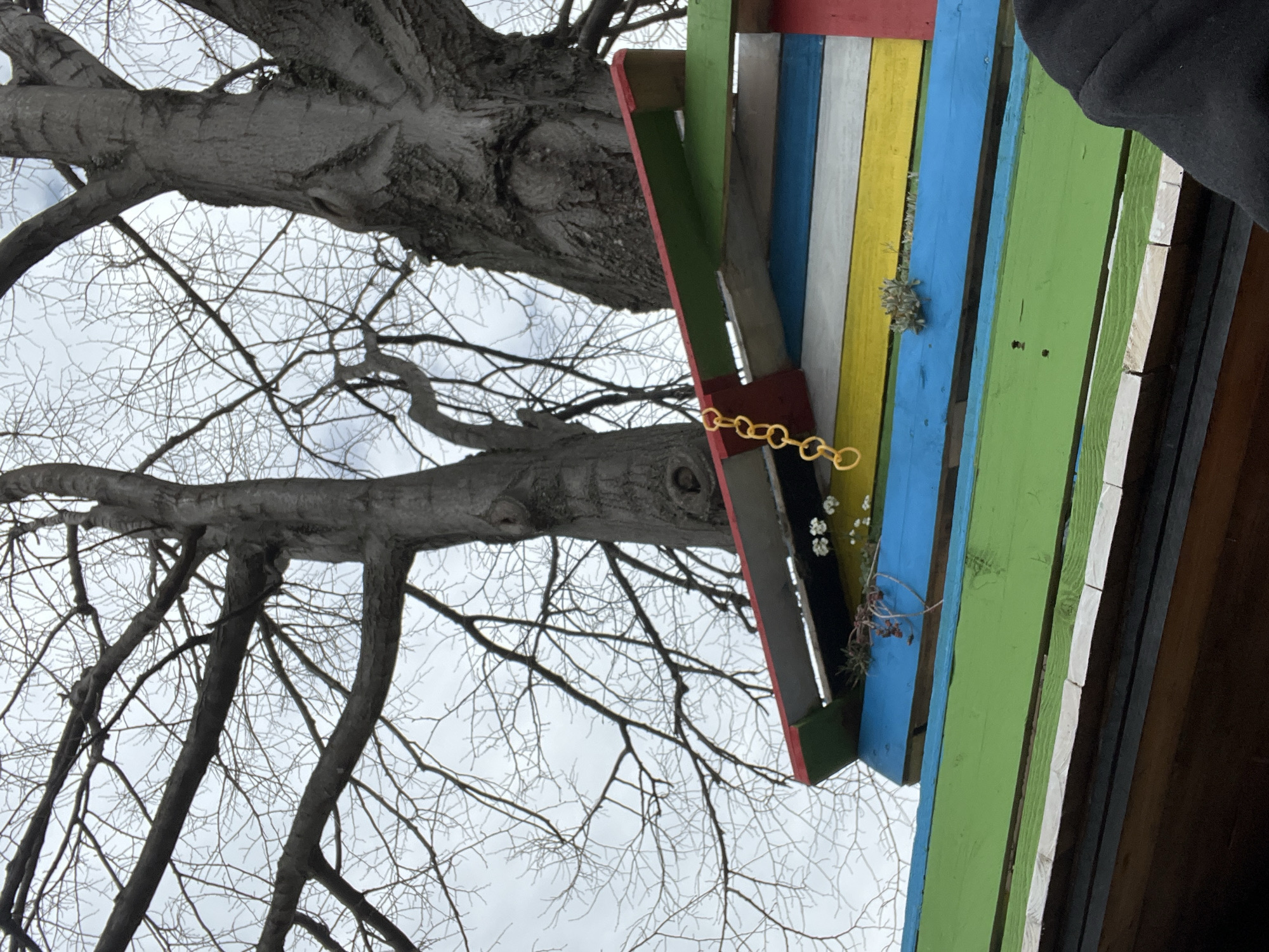 Morning scenes of daily life captured in Sopot, Bulgaria