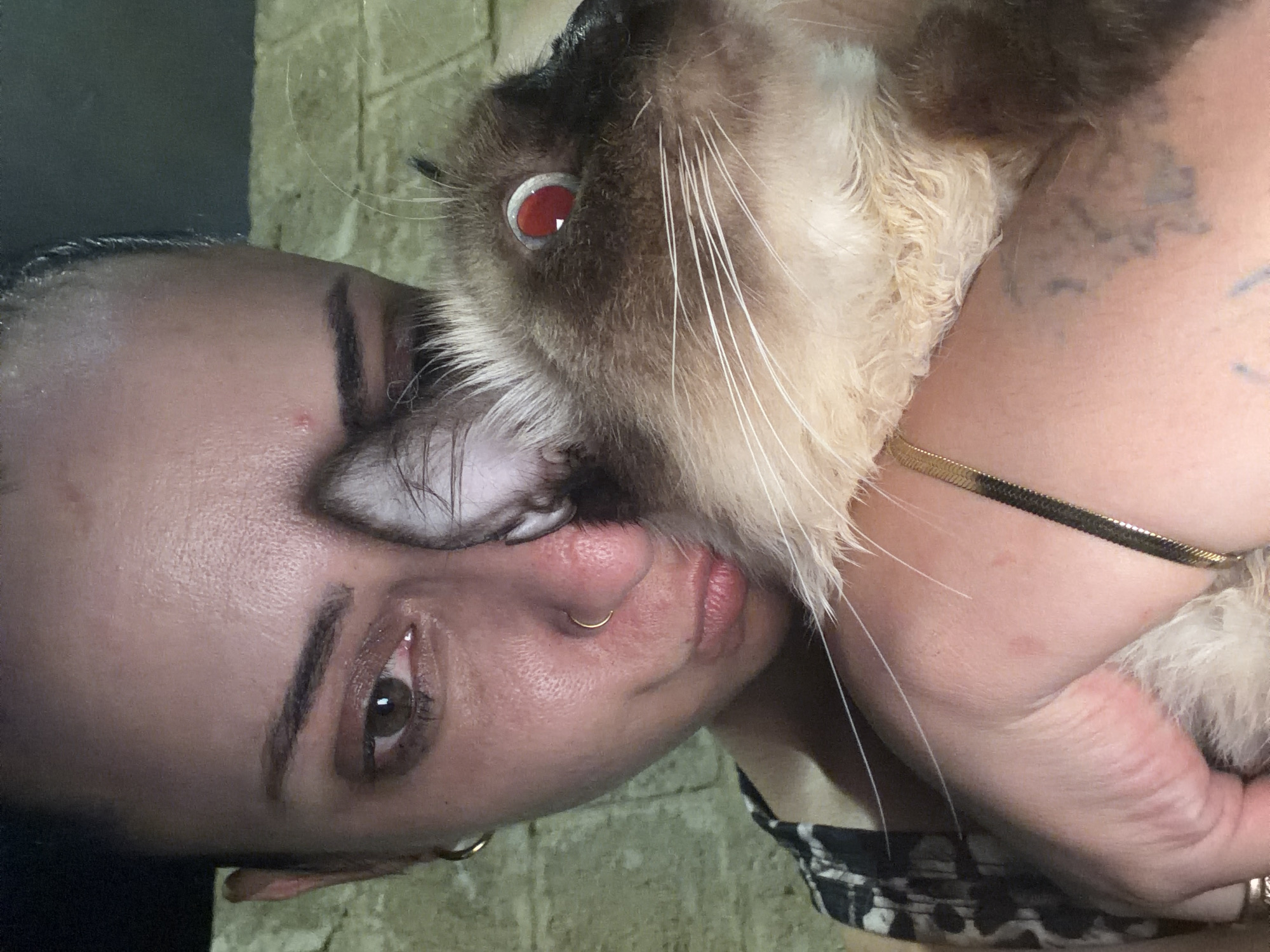 Selfie series with a Siamese cat in rural Puglia