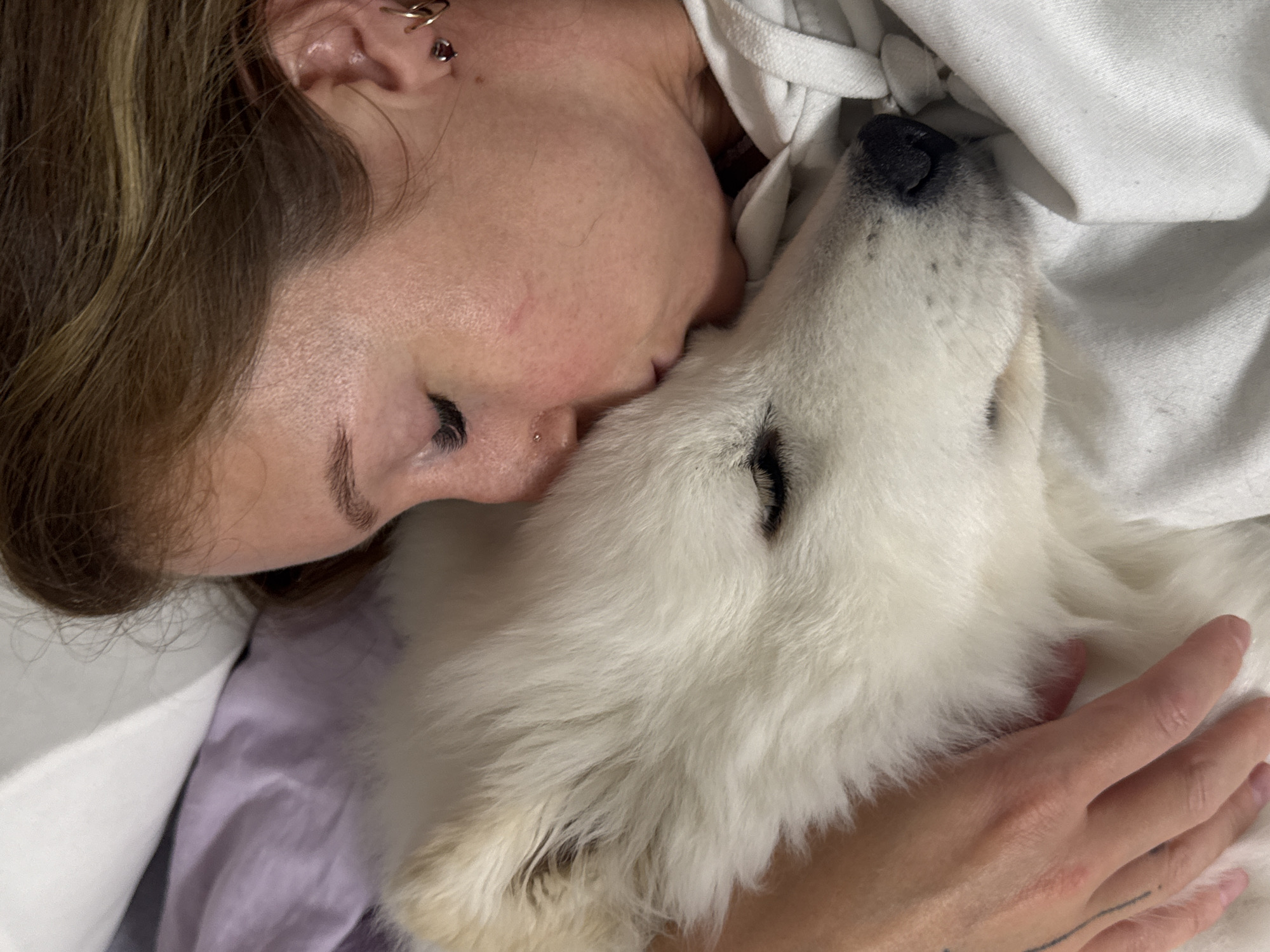 Quiet afternoon moments captured in Chaikovsky: sleeping dog, woman dining