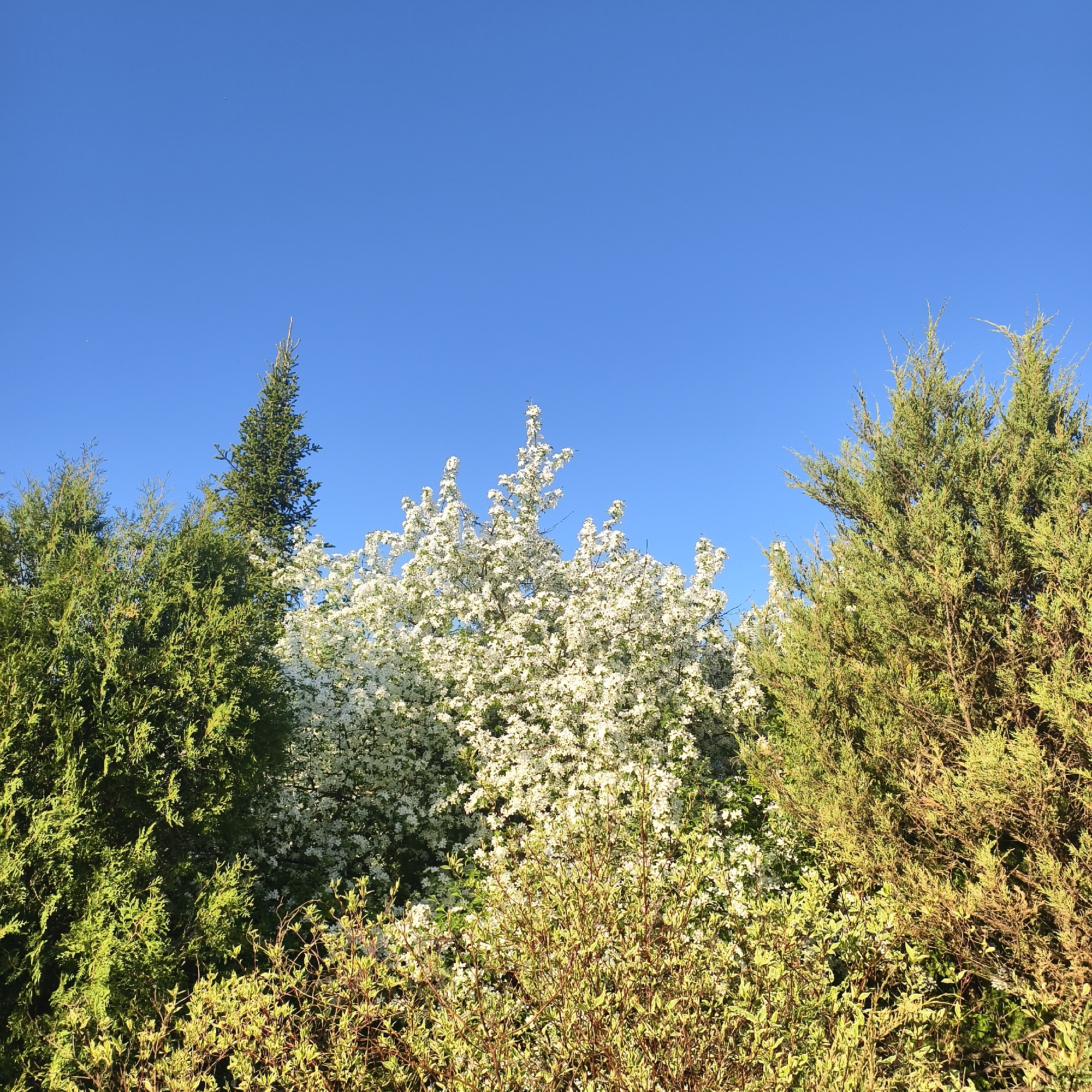 Spring afternoon stroll documented at Russian sanatorium gardens