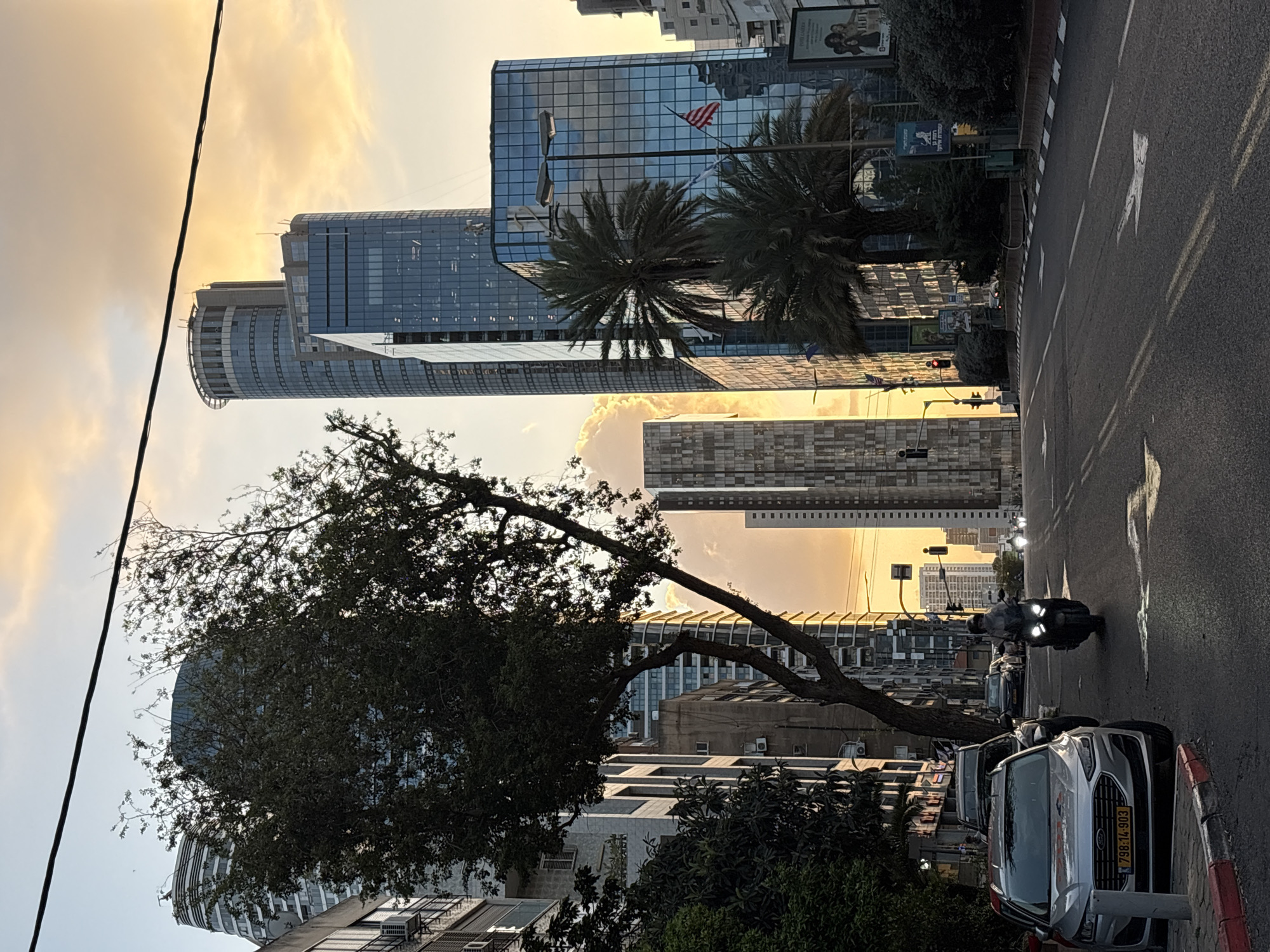 Afternoon scenes in Ramat Gan: urban skyline and dog