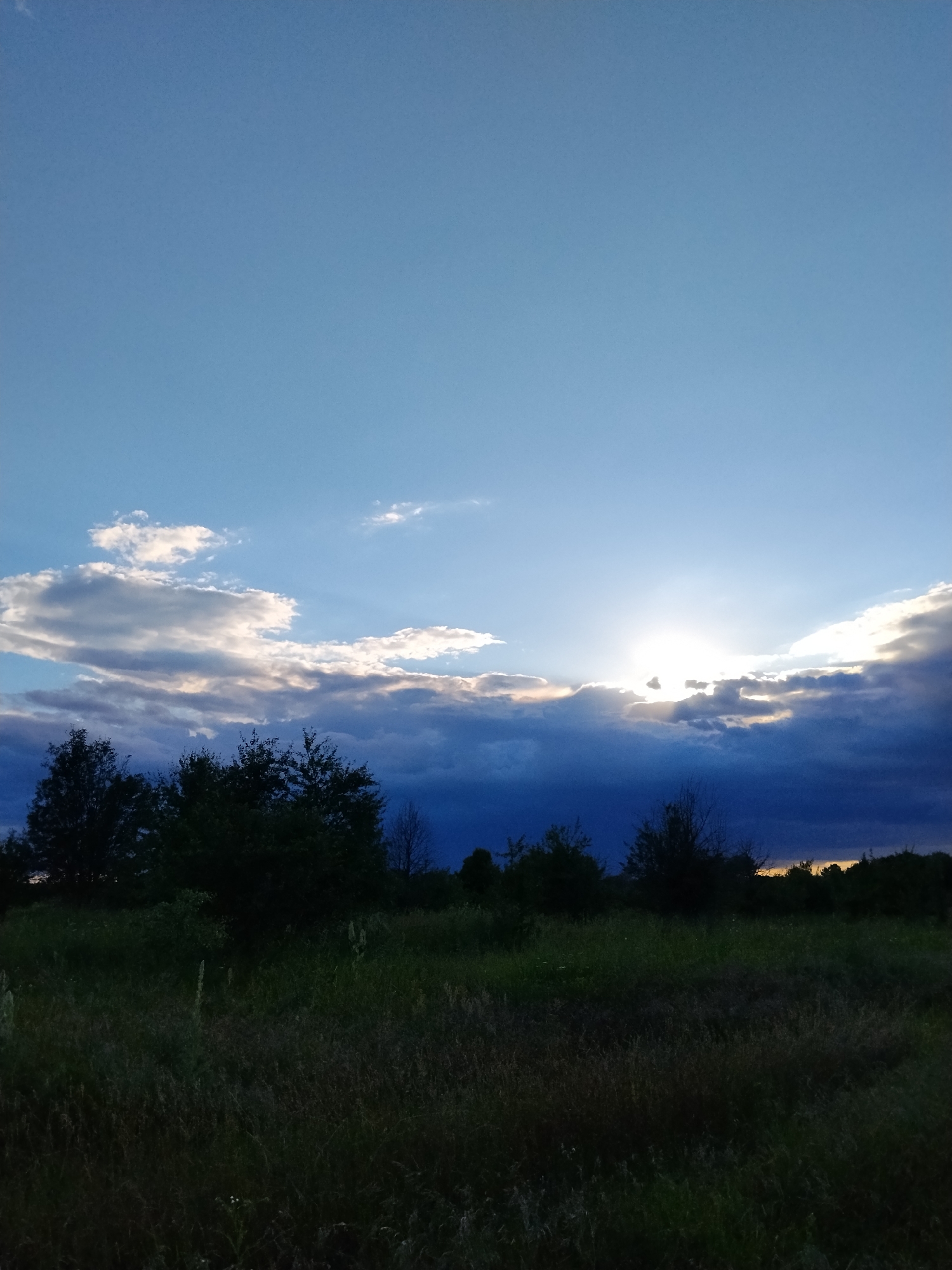 Afternoon in a Ukrainian meadow: skies, wildflowers, and old finds