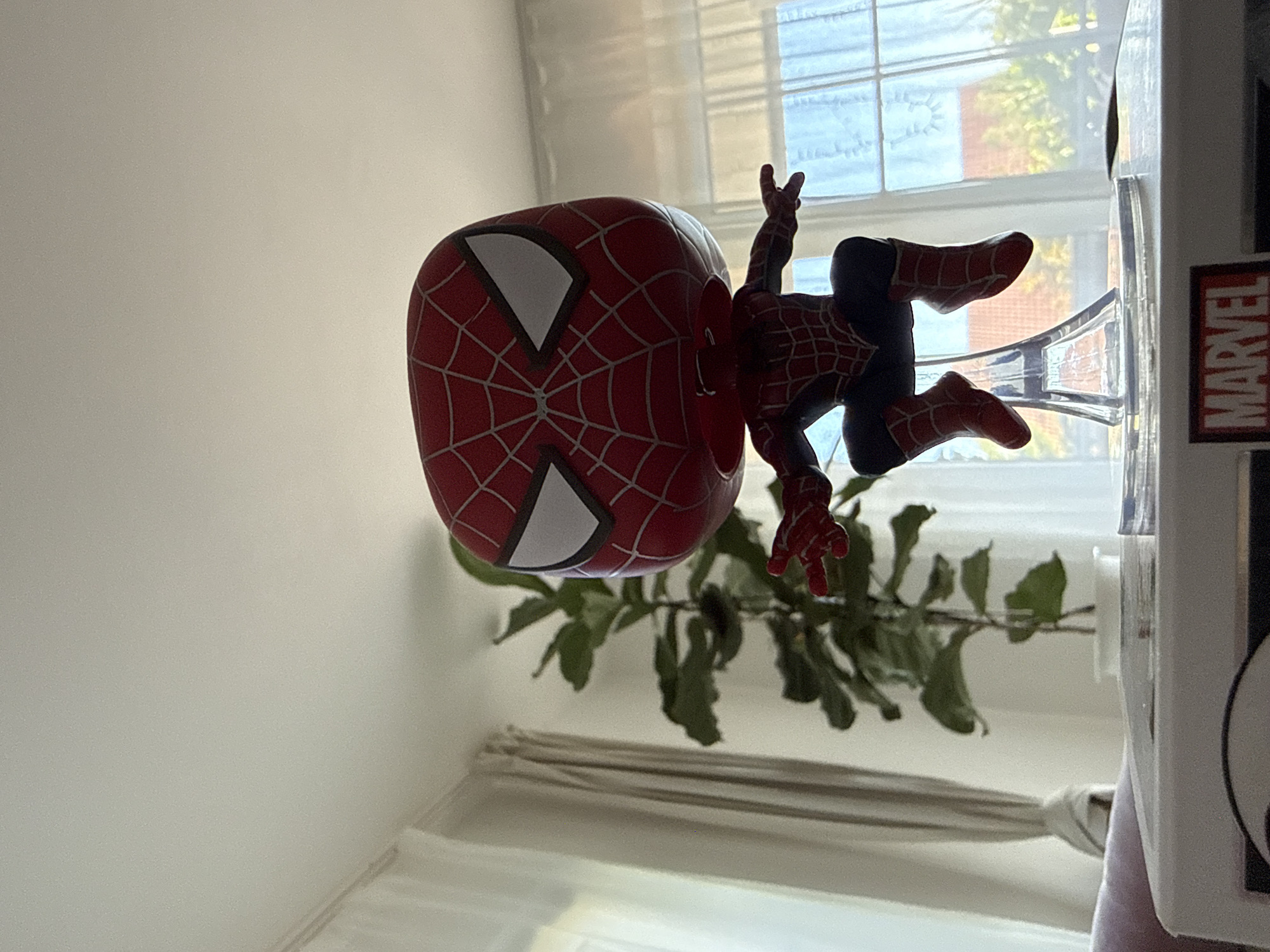 Funko Pop collection, a French Bulldog, and afternoon home life in Bad Sachsa
