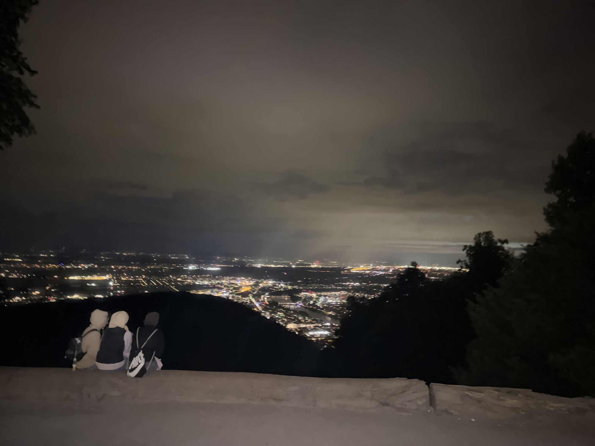 Nighttime panoramic views captured of Heidelberg from elevated vantage point