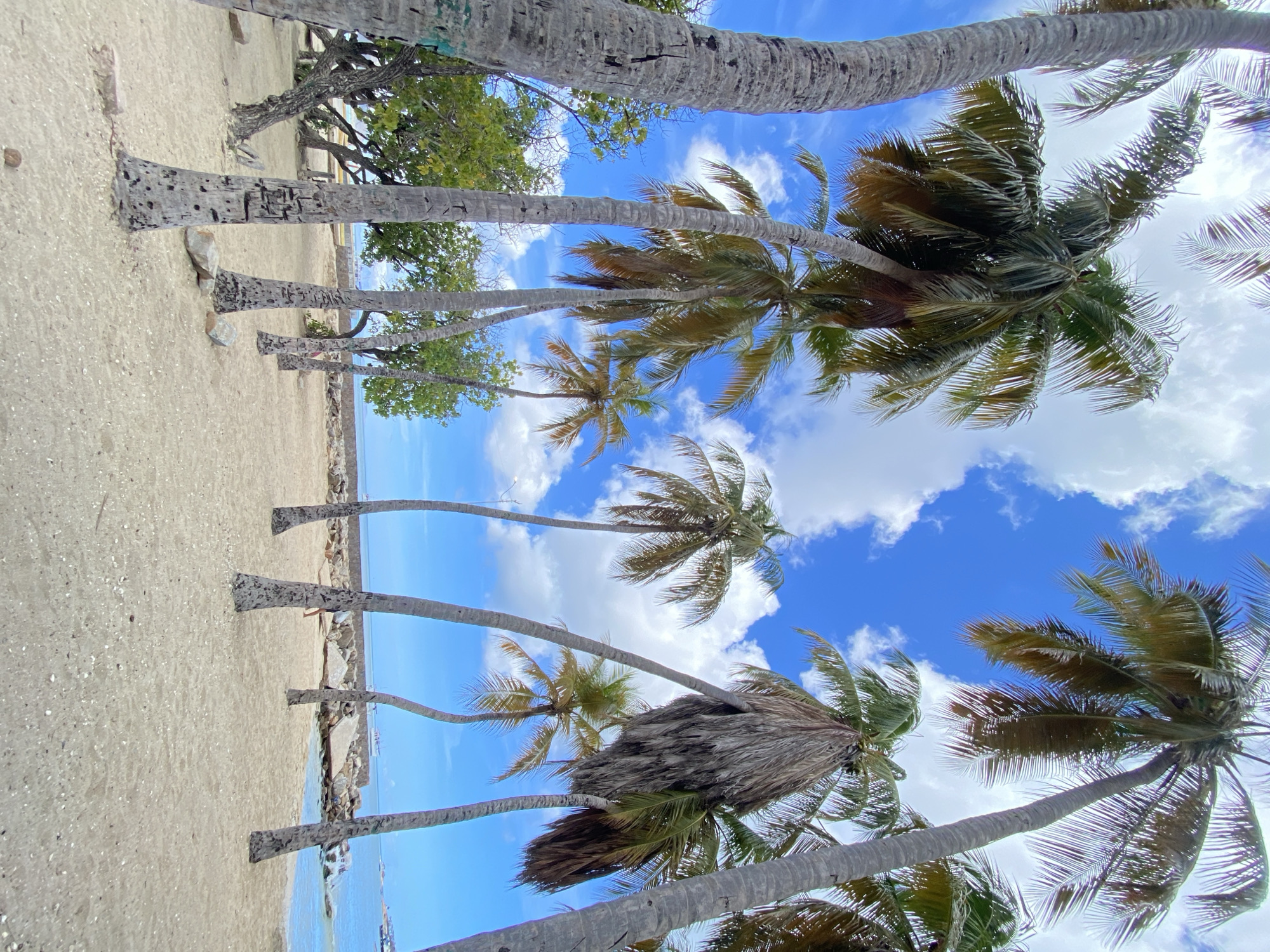 Beach scenes documented along Juan Griego coastline