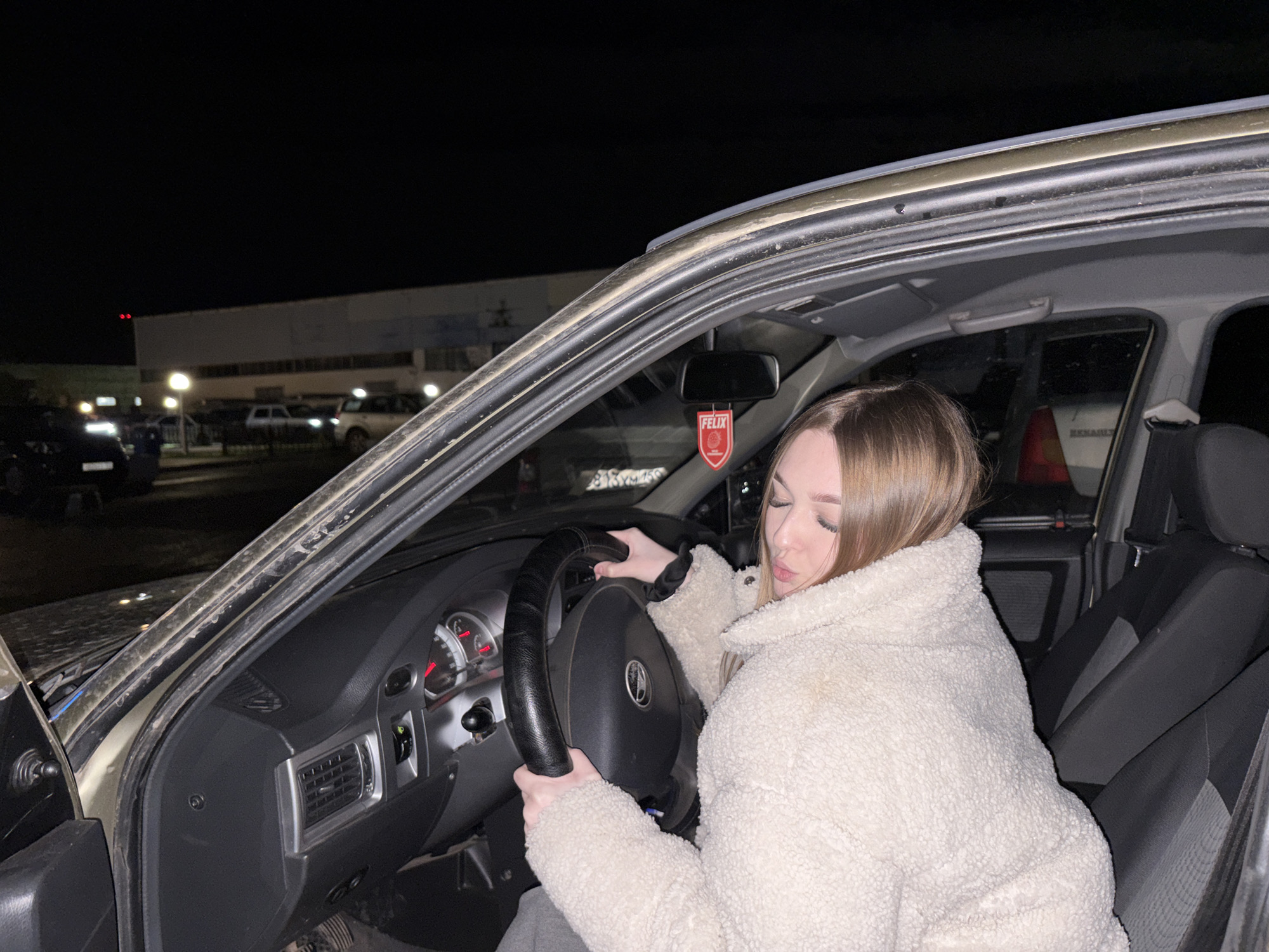 Woman observed in car driver's seat at night in Chaikovsky