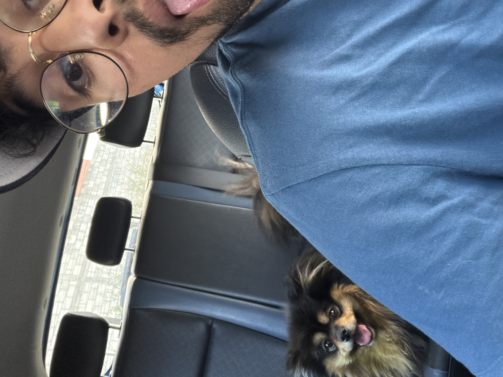 Man and dog captured in casual car moment in Cuautla