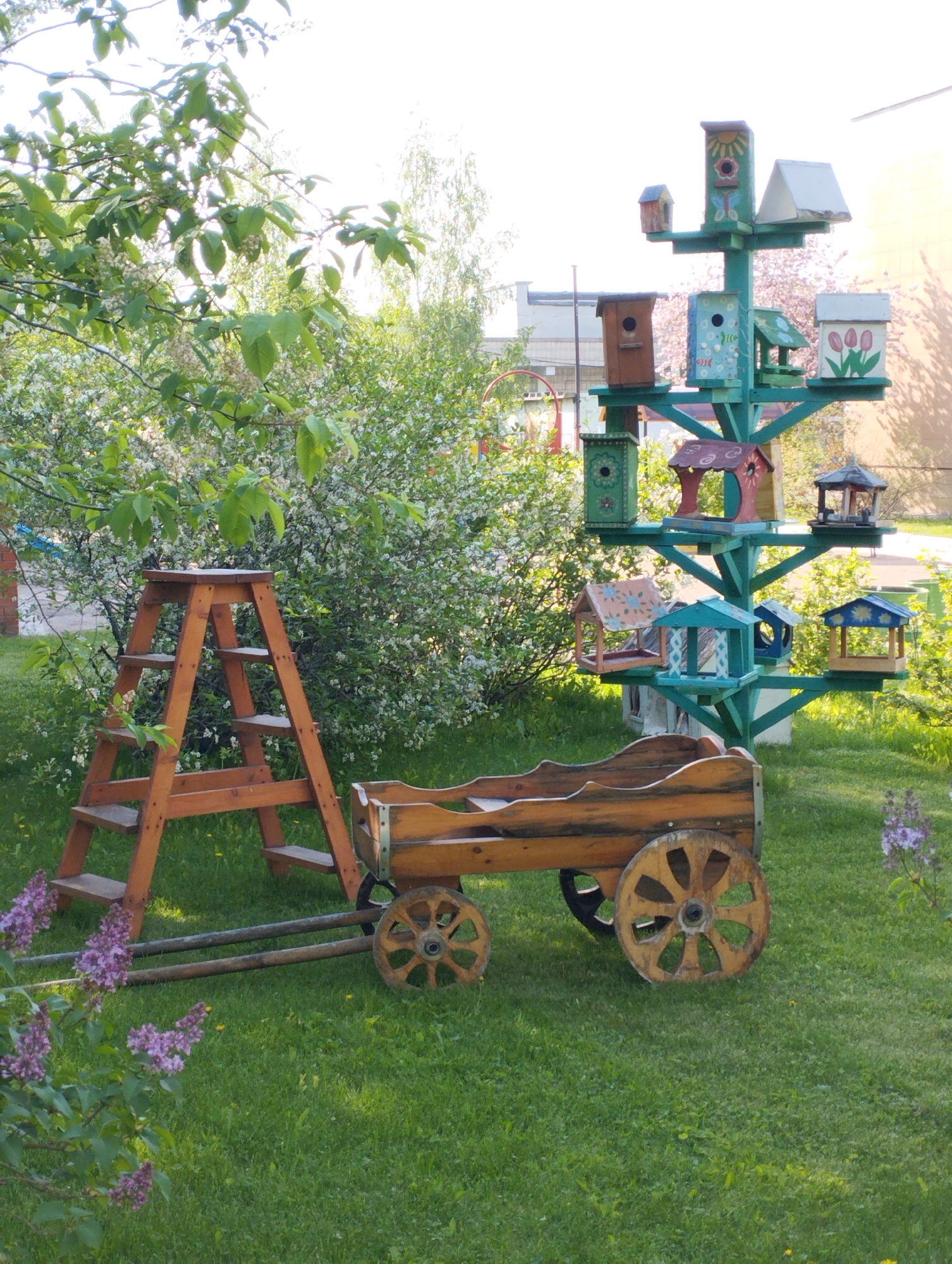 Spring garden scenes documented in Novosibirsk over 13-minute period