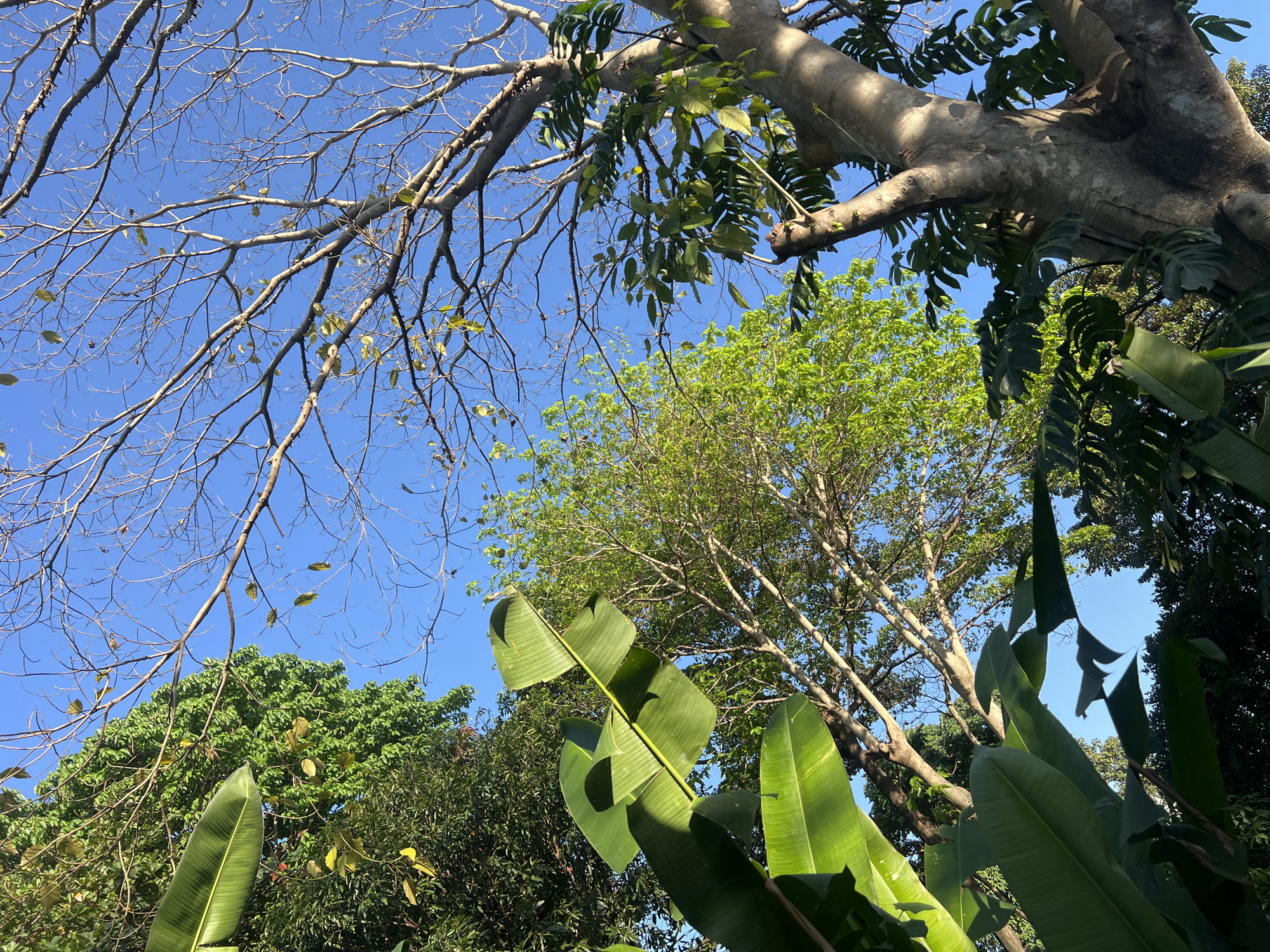 Tropical outdoor scenes documented in North Kuta, Indonesia