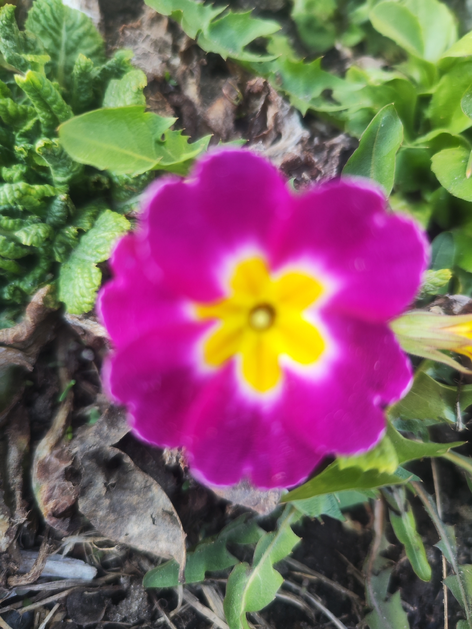 Spring day moments documented across Chaikovsky, Russia