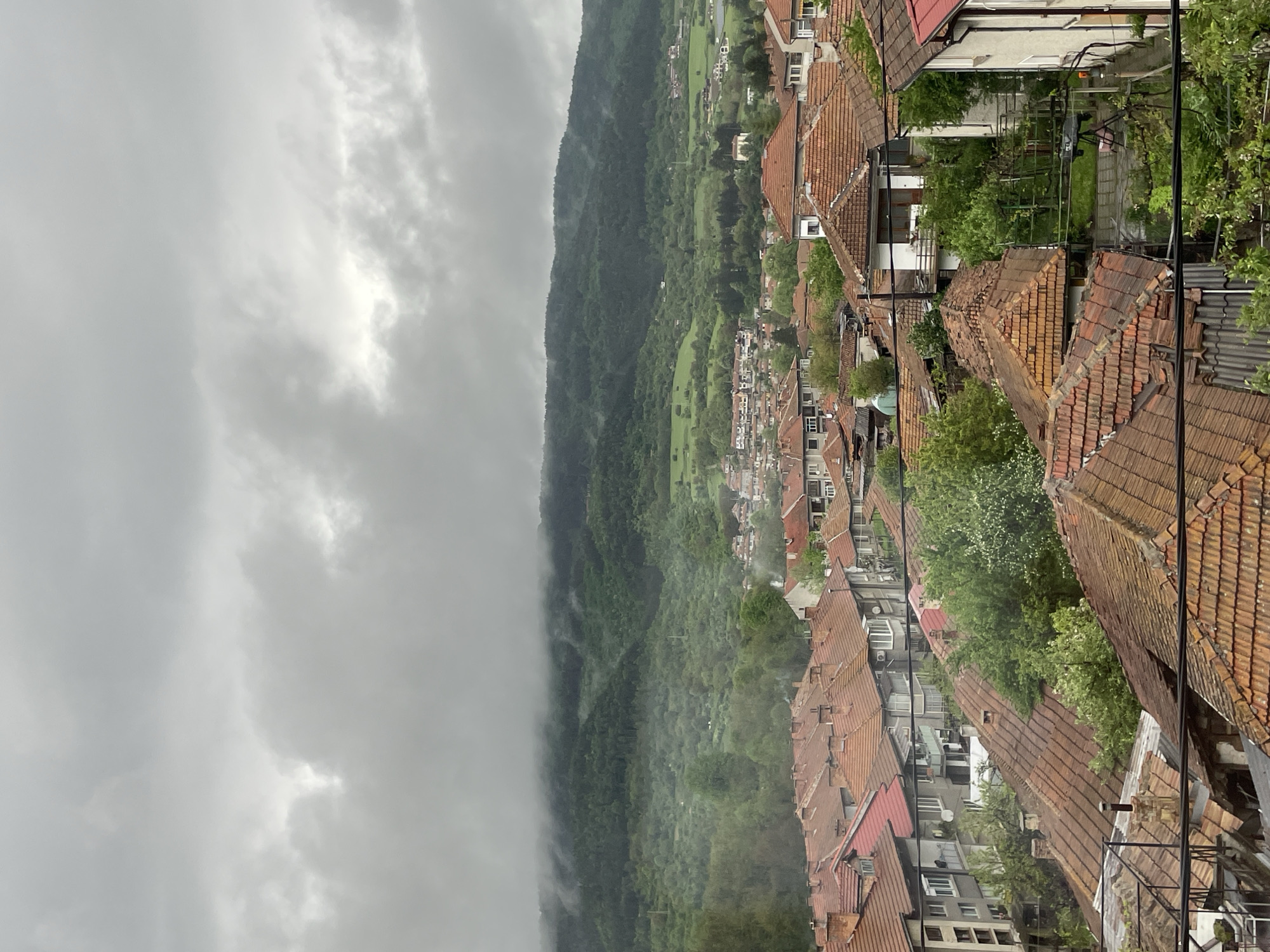 Artist documents Elena, Bulgaria townscape and local artwork