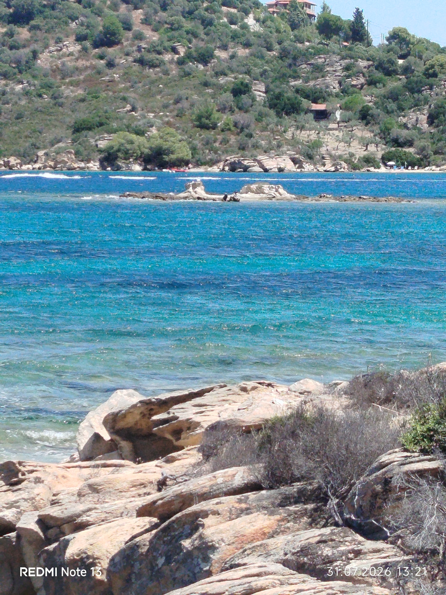Lazy morning on a Sithonian beach with a small black dog