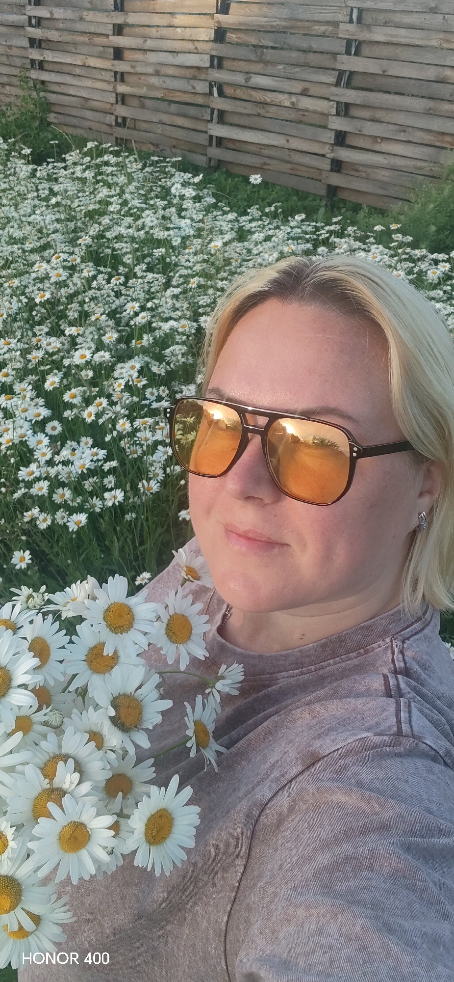 Daisy field in rural Noviy draws attention in summer bloom