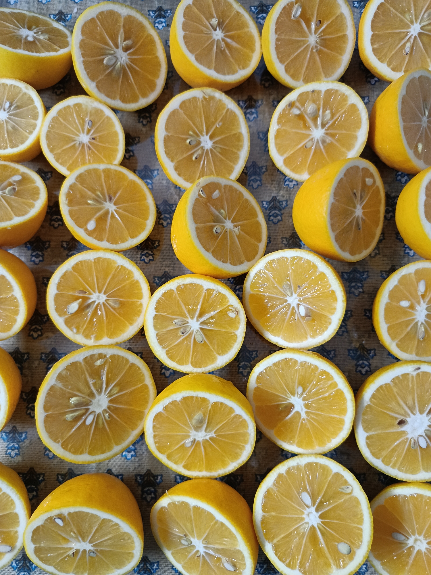 Sliced lemons documented on patterned surface in Abkhazia