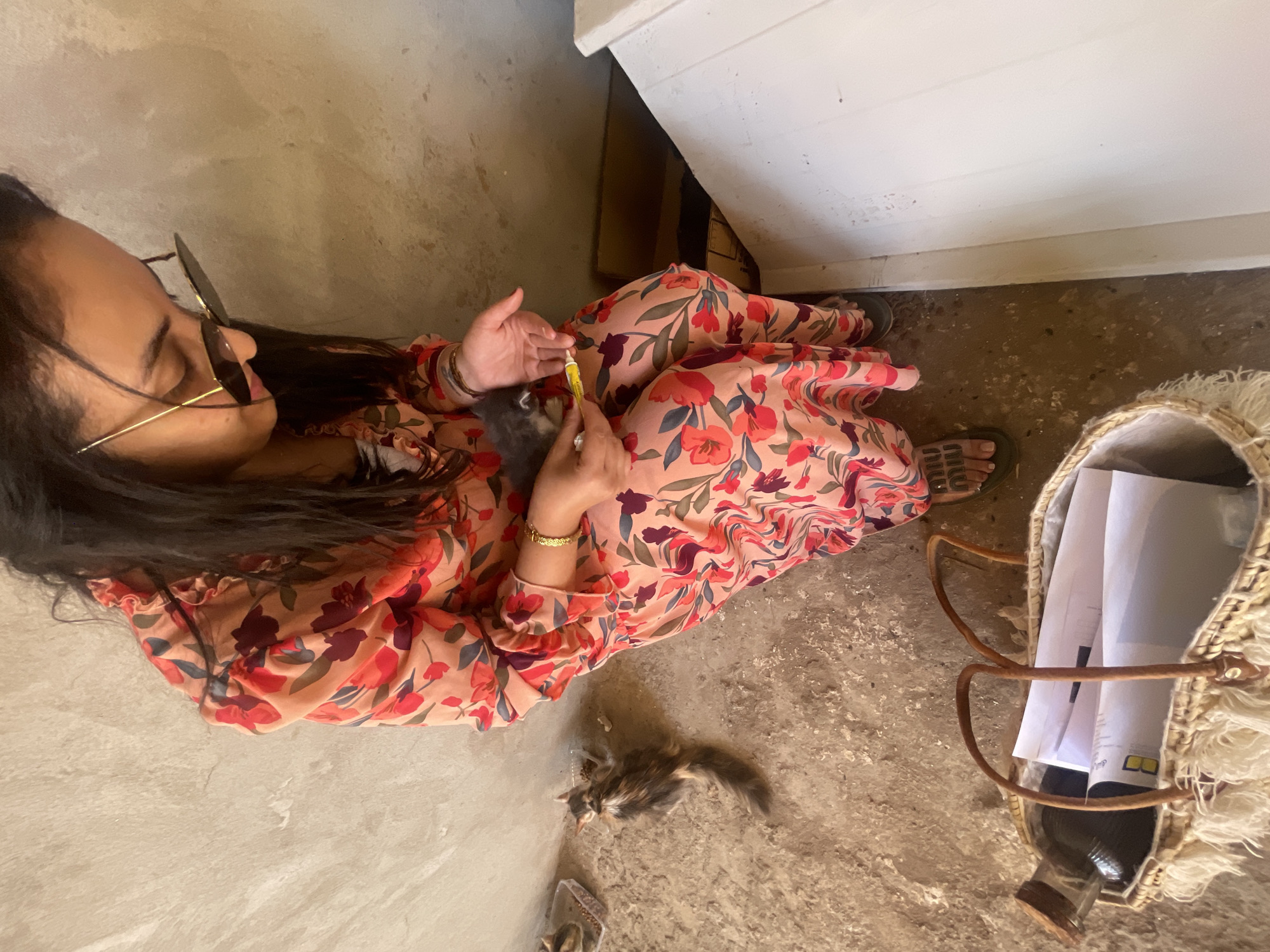 Woman tends to kittens in Marrakesh care session