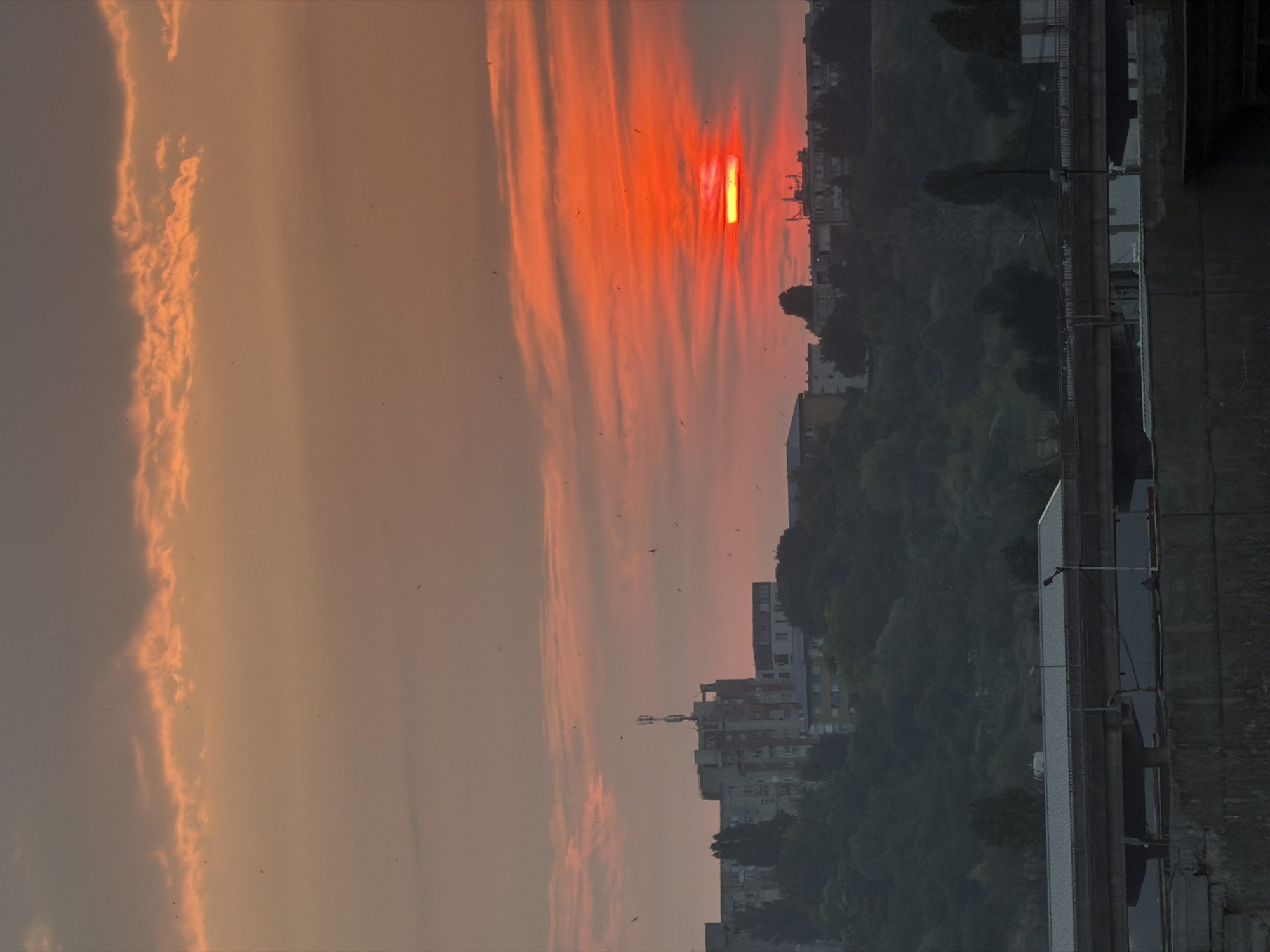 Constanța port and skyline at golden hour
