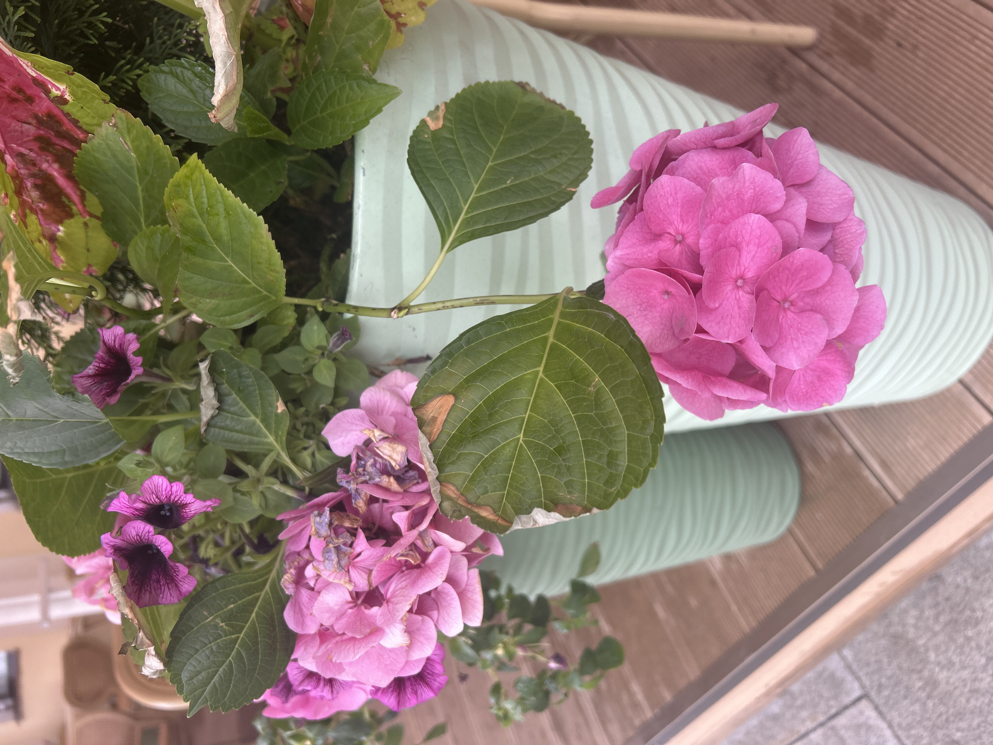 Moscow street life: flowers, delivery robots captured by witnesses