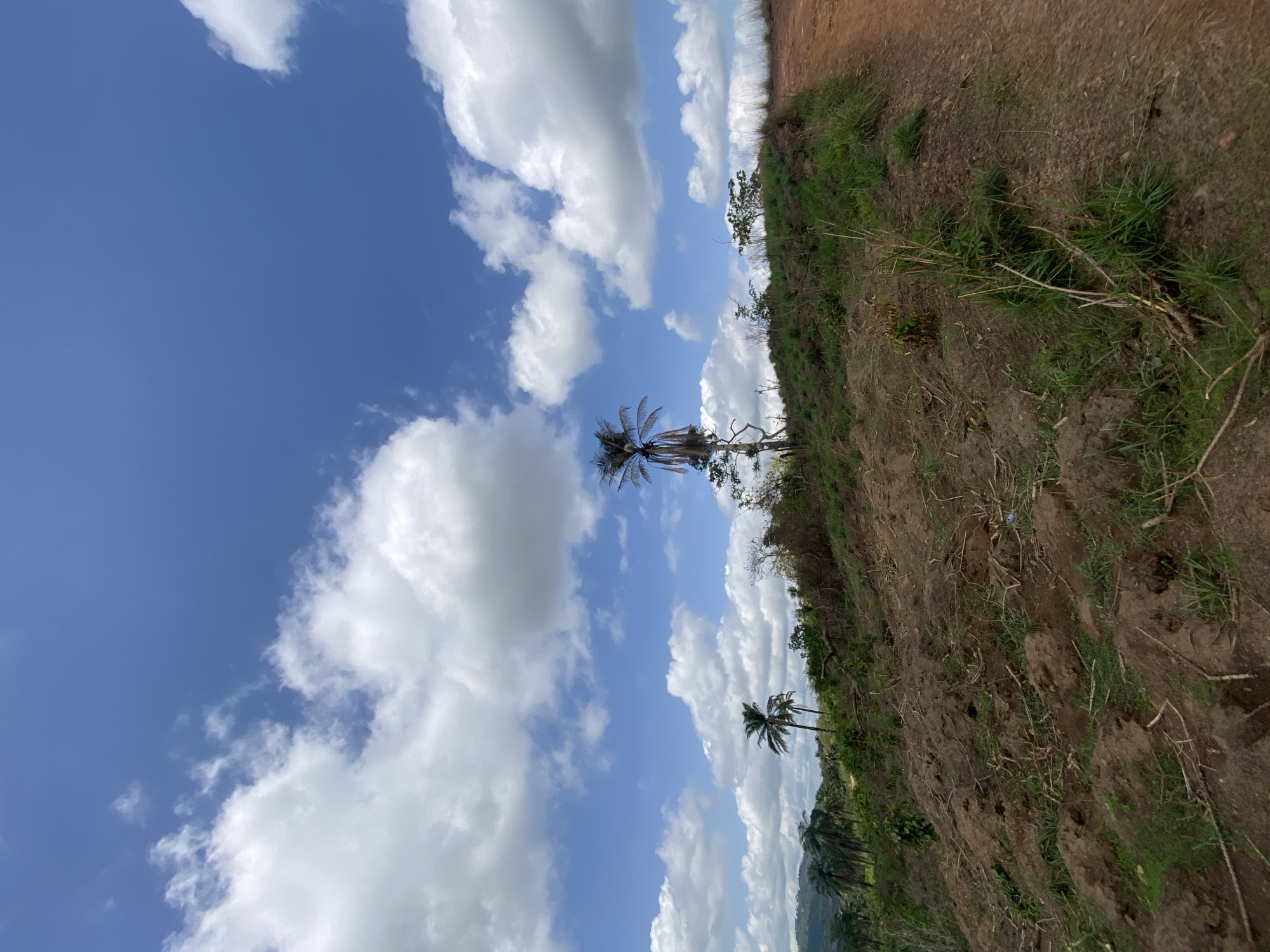Rural life documented in Achara, Nigeria countryside