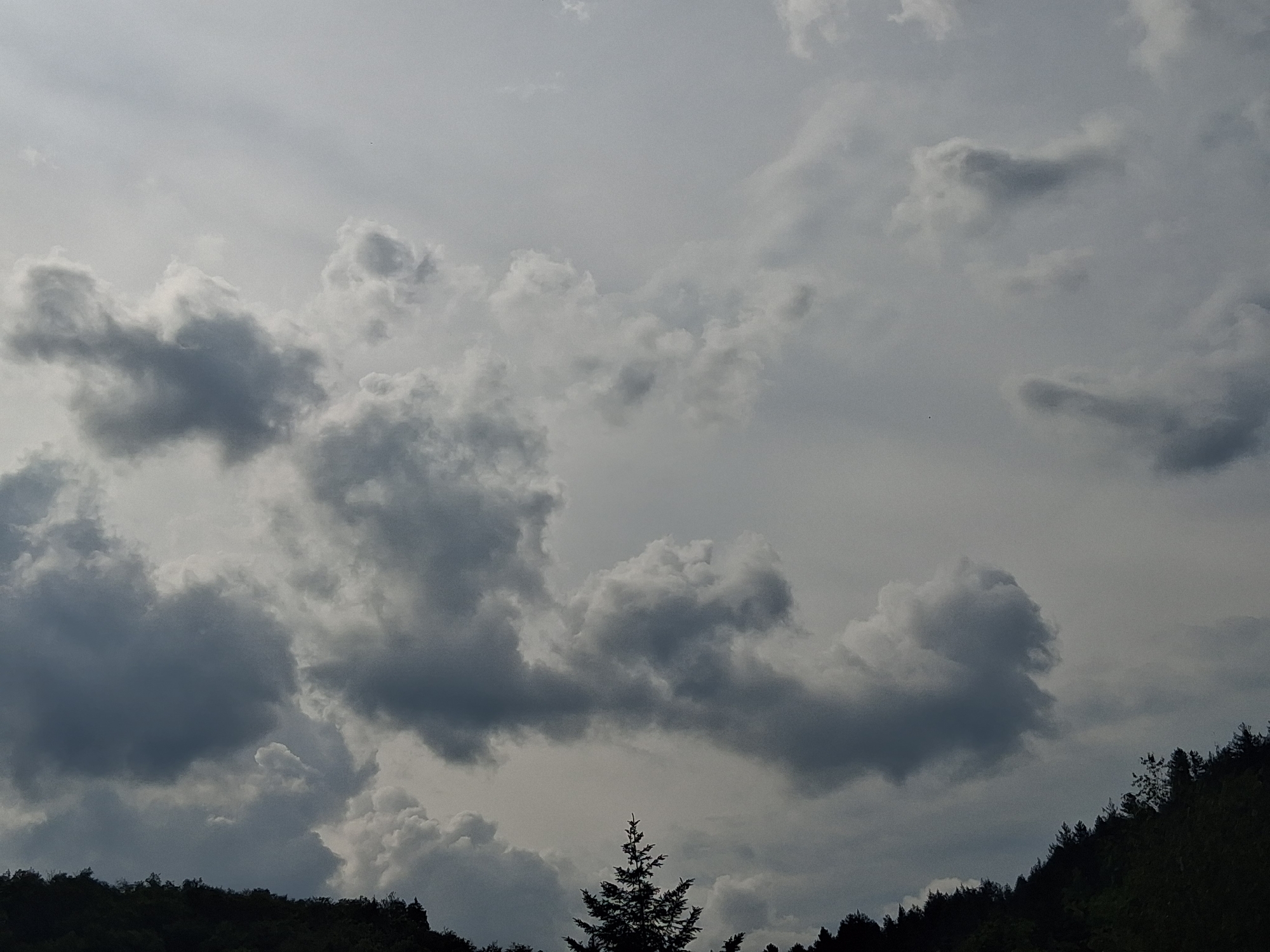 Storm clouds build over Smolyan's forested mountain landscape