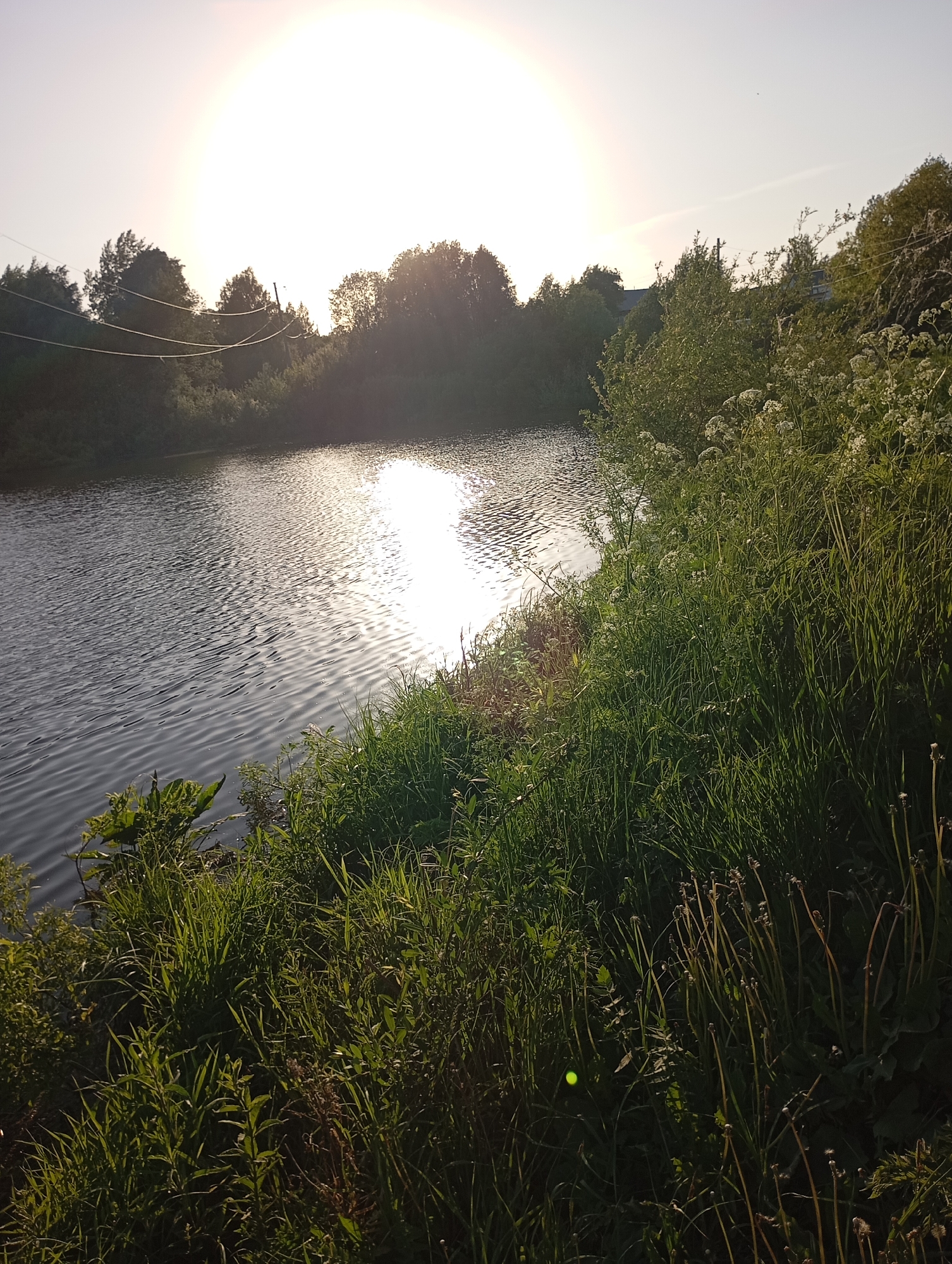 Rural afternoon moments: sleeping kittens, goats, waterside selfies documented
