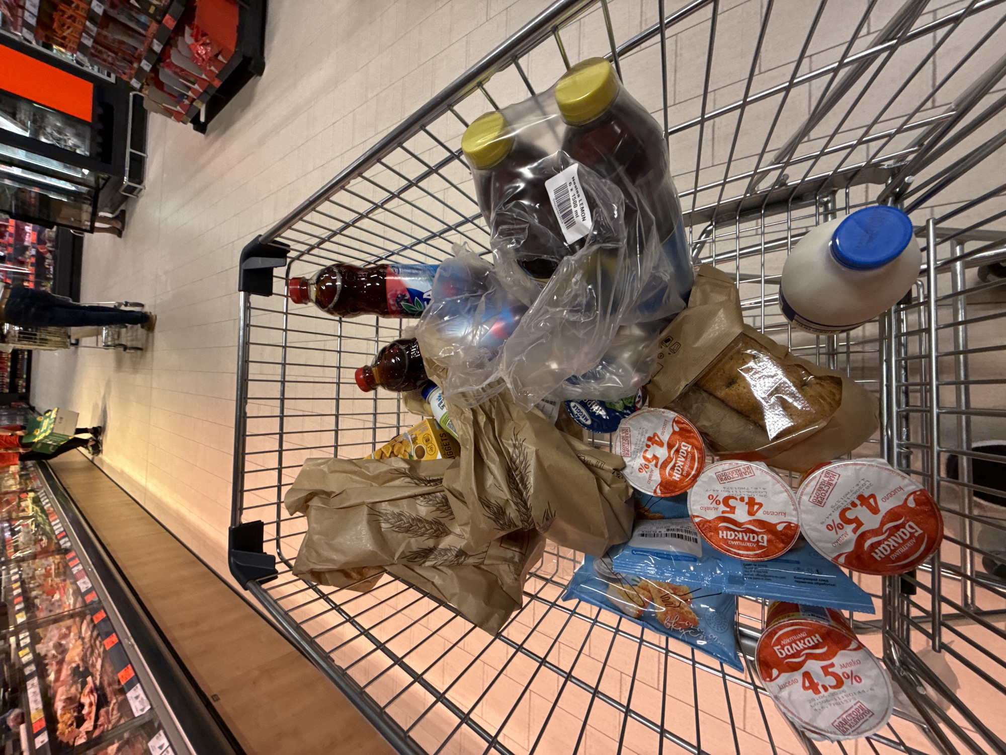 Routine grocery shopping documented at Vratsa supermarket
