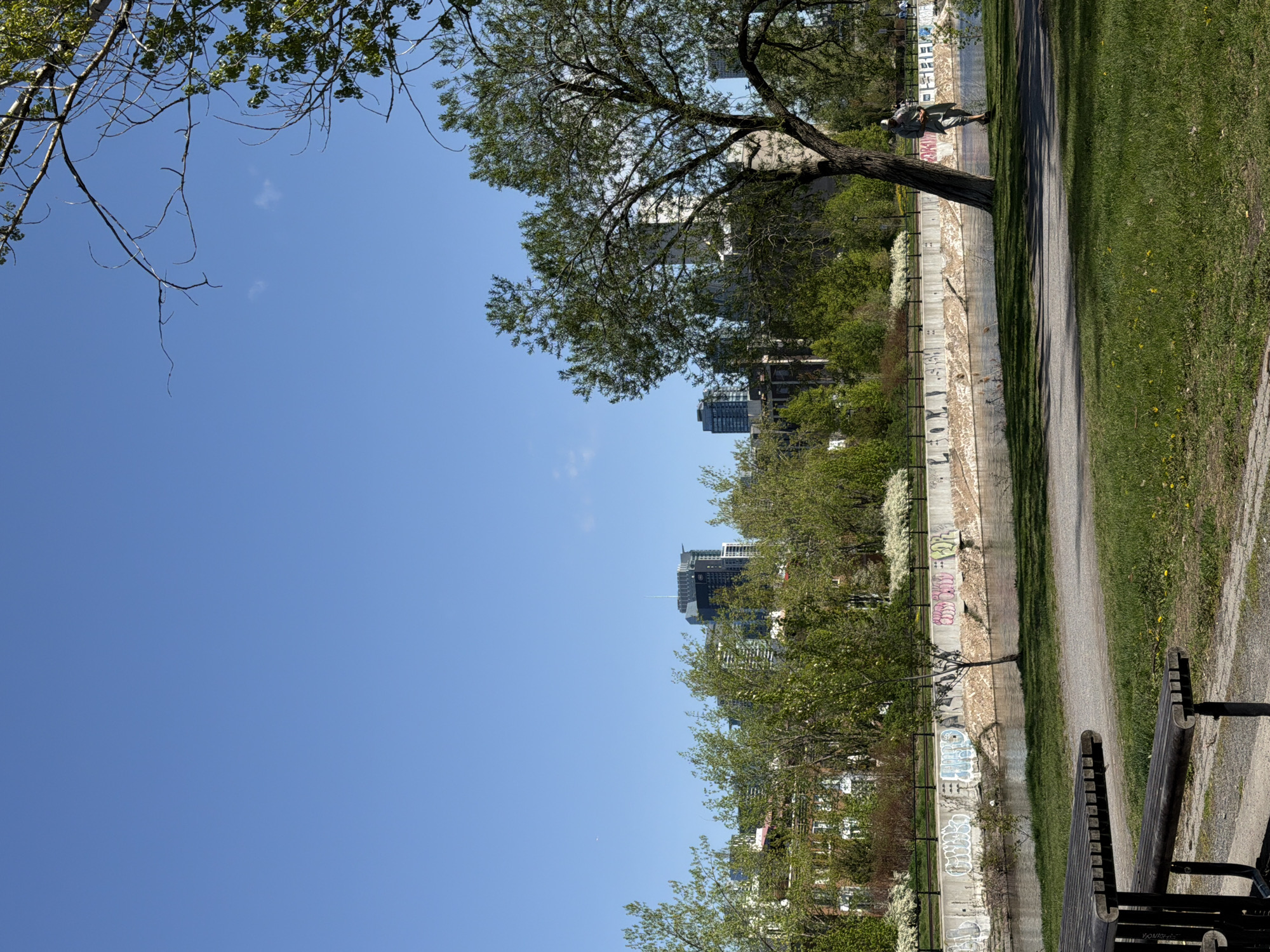 Dog walker enjoys afternoon stroll along Montreal's Lachine Canal