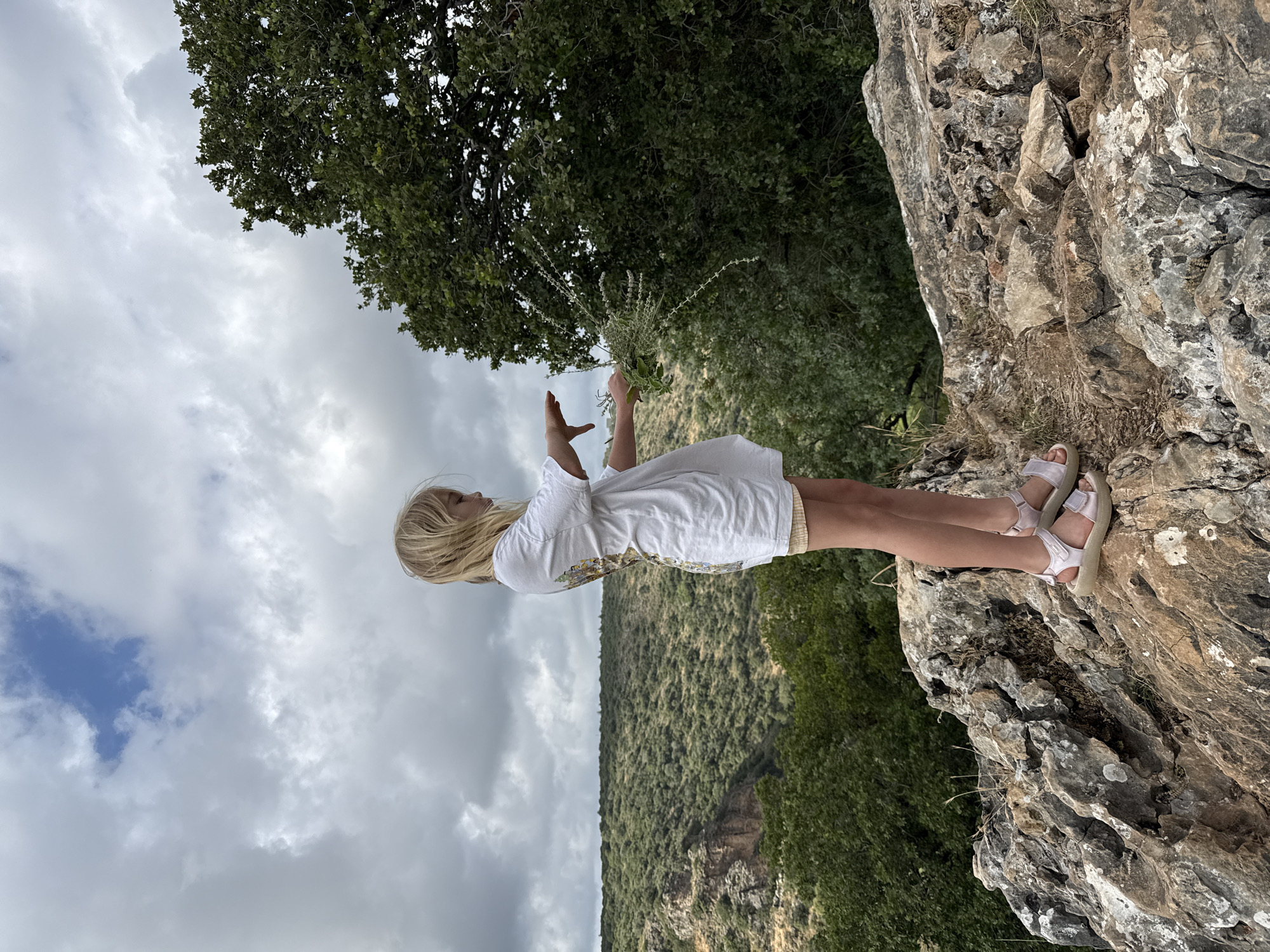 Woman with foliage observed on rocky precipice in northern Israel