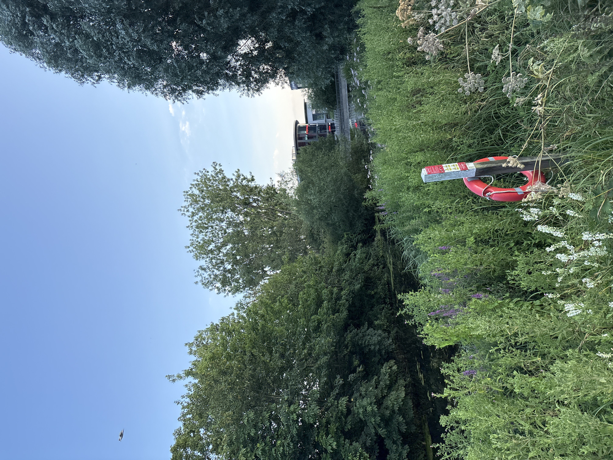 Evening stroll along Chelmsford's canal and riverside greenery