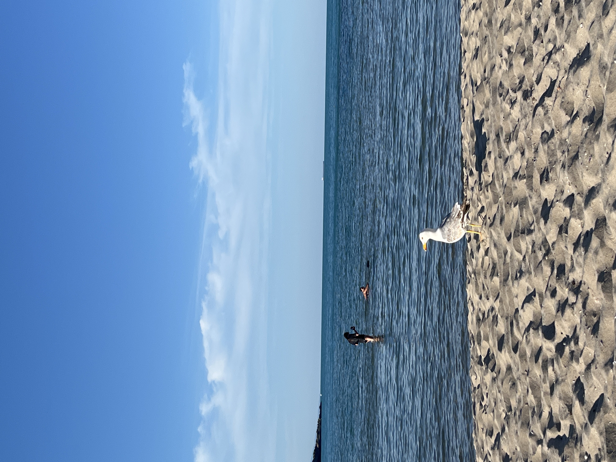 Summer afternoon documented at Sozopol Bulgaria beaches and marina