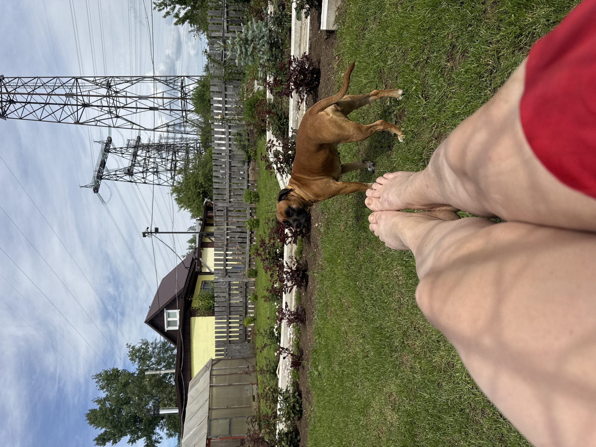 Woman and dog share quiet morning moments in Chaikovsky