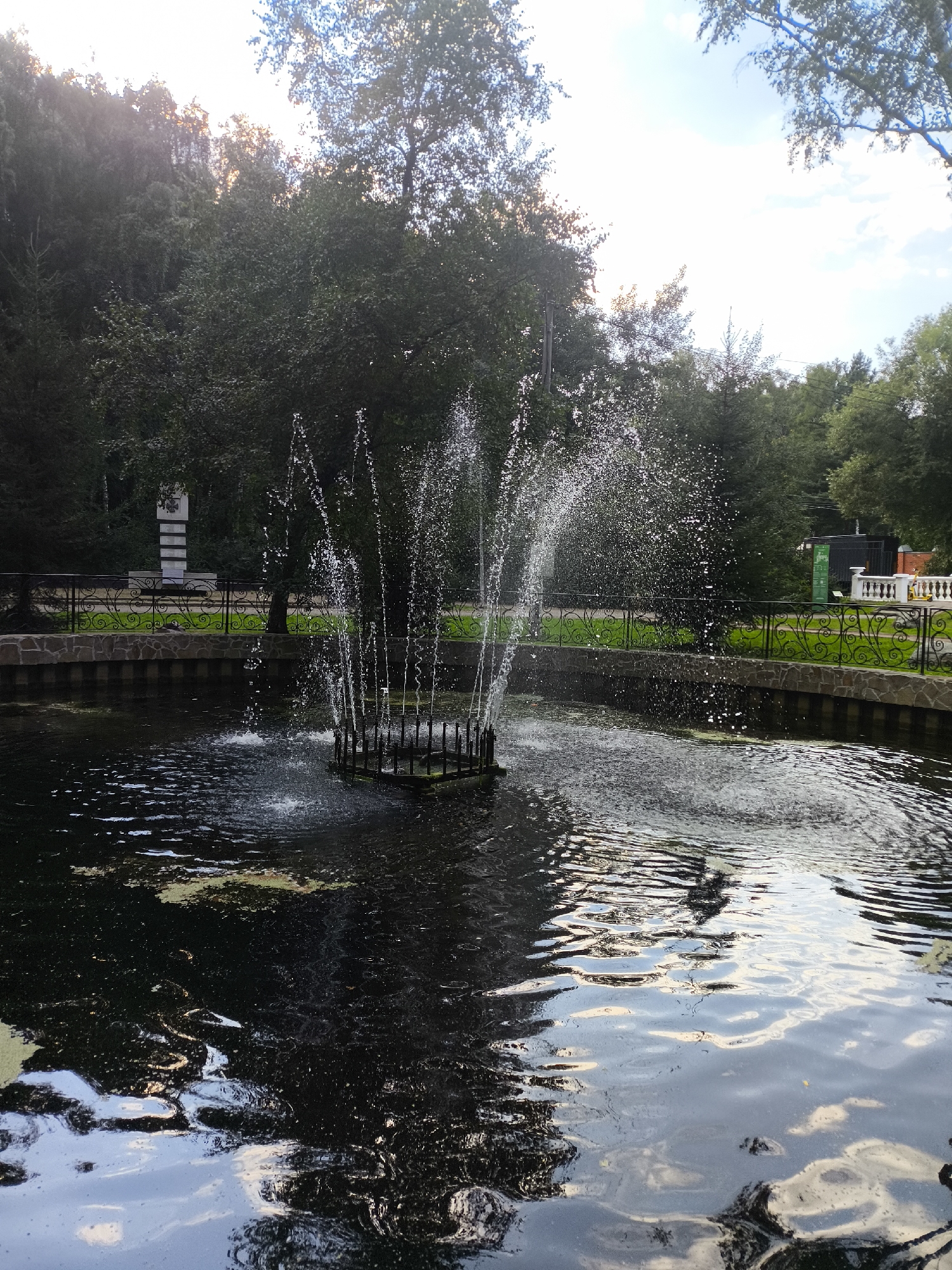 Soviet plane monument, fountain pond, and hollyhocks in a city park