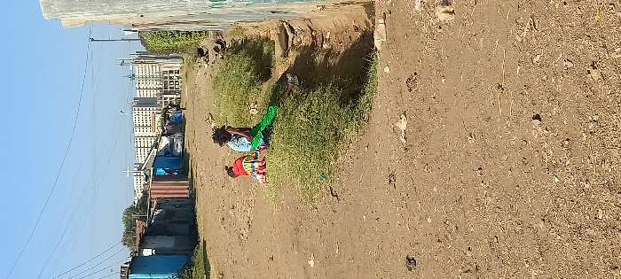 Morning Life Documented Across Nairobi Neighborhoods January 26