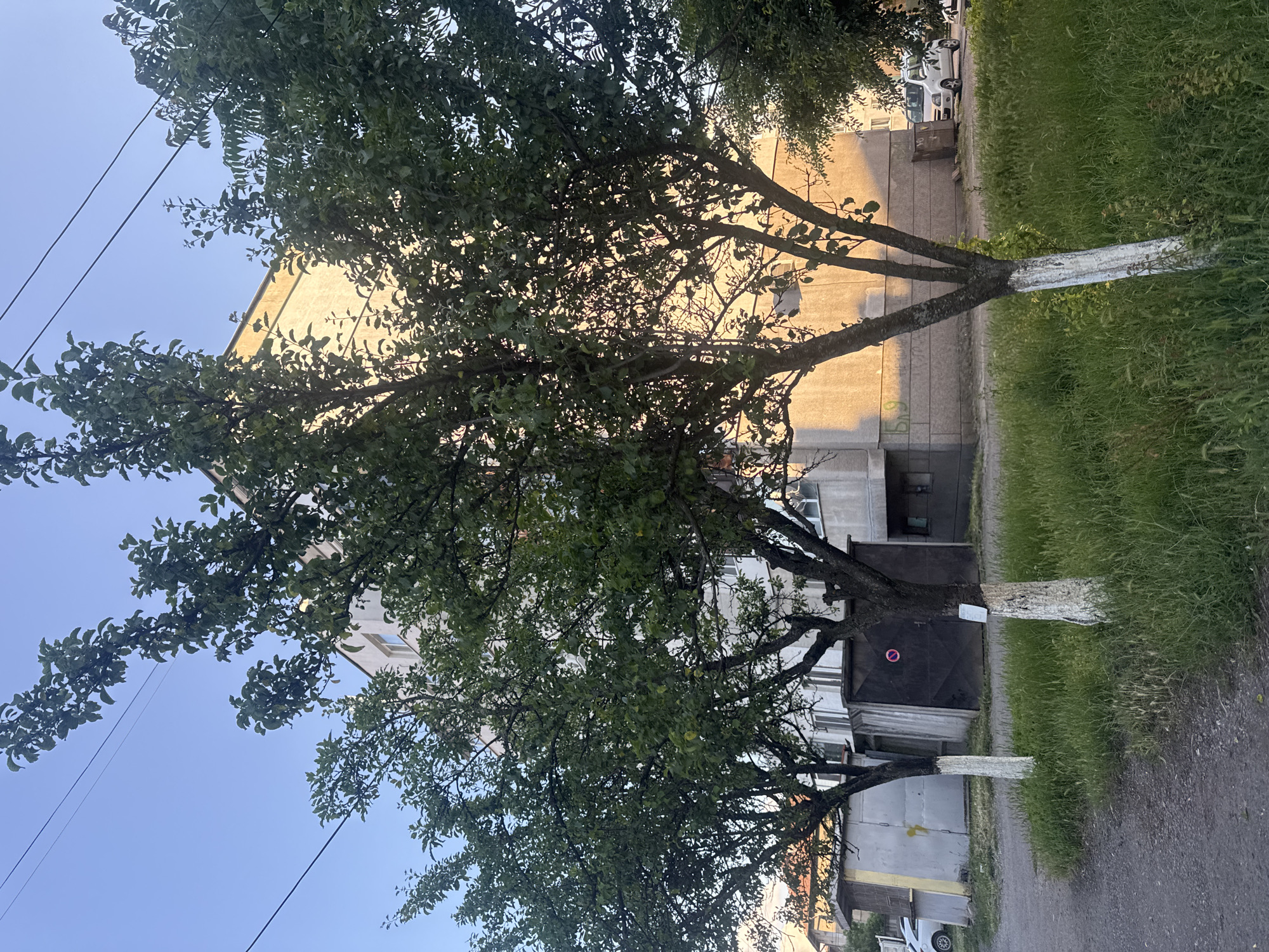 Afternoon walk documented in suburban Kostinbrod, Bulgaria