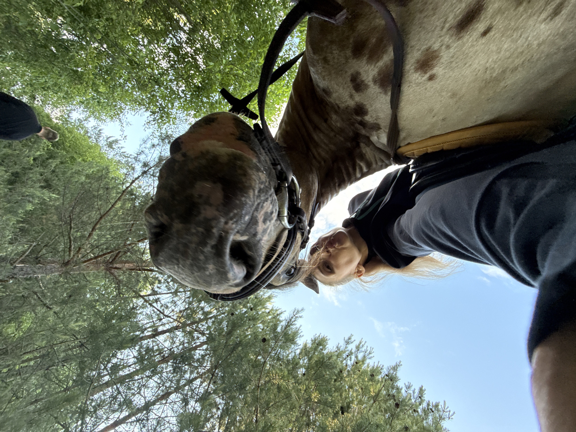 Woman enjoys horseback ride in Russian woods