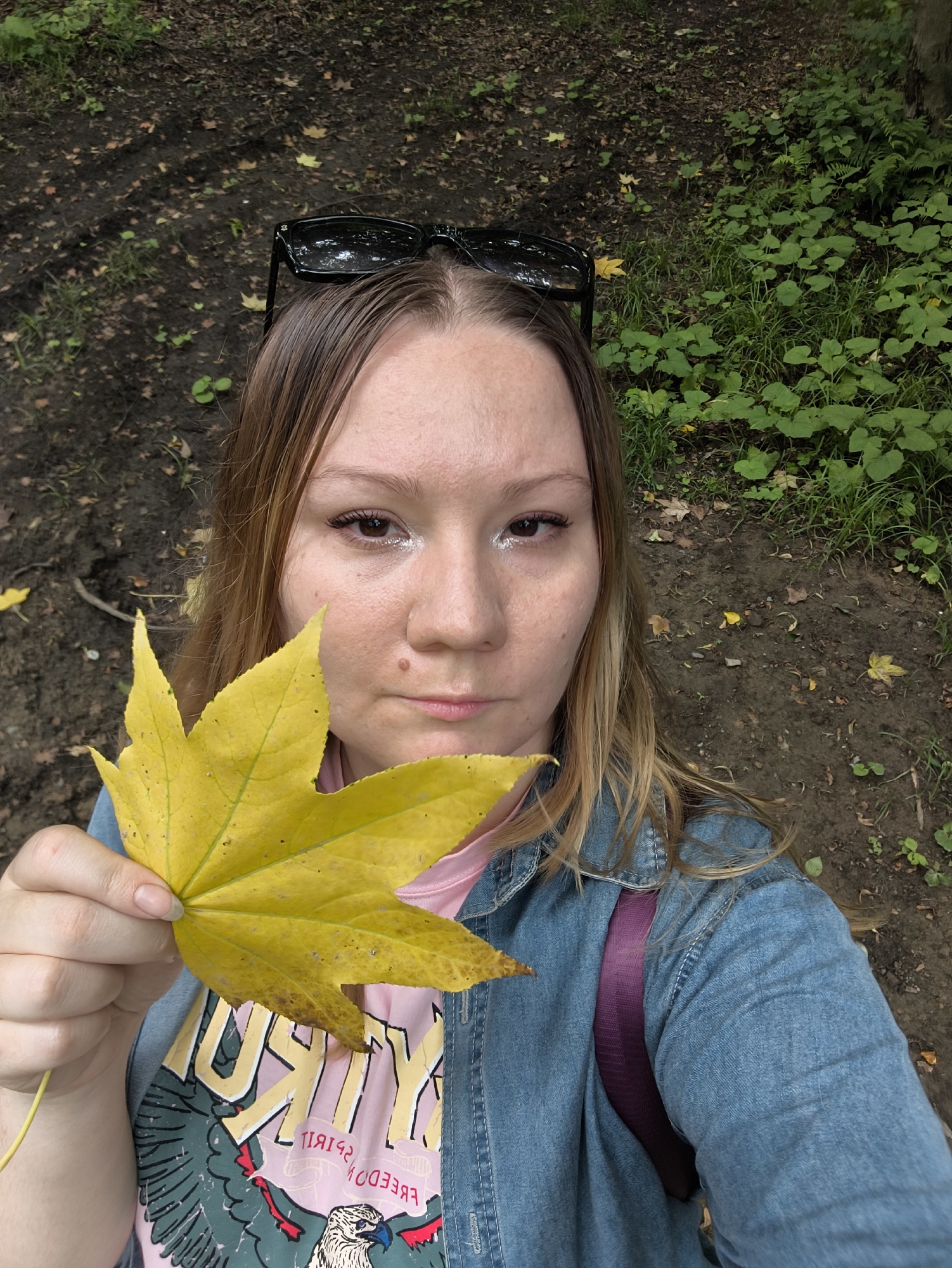 Yellow maple leaf takes center stage in a Vladivostok park