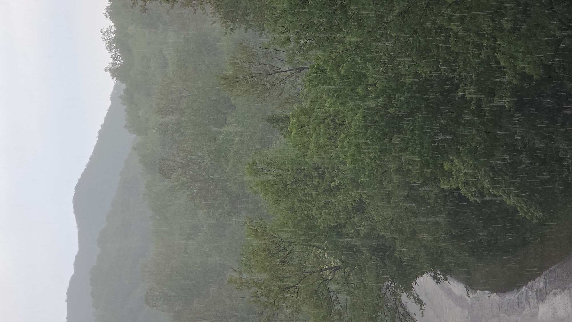 Mixed precipitation hits forested mountains near Gabrovo, Bulgaria