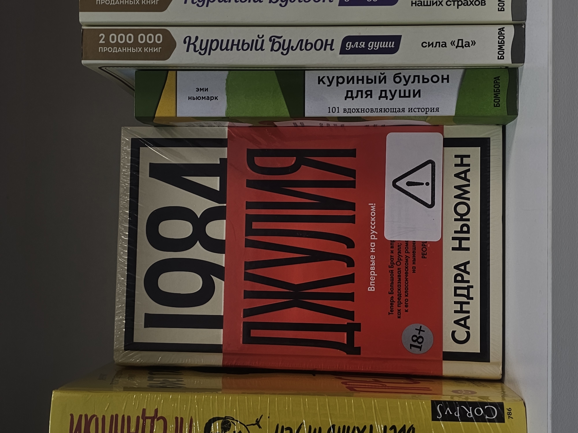 Quiet morning moments documented in Russian household