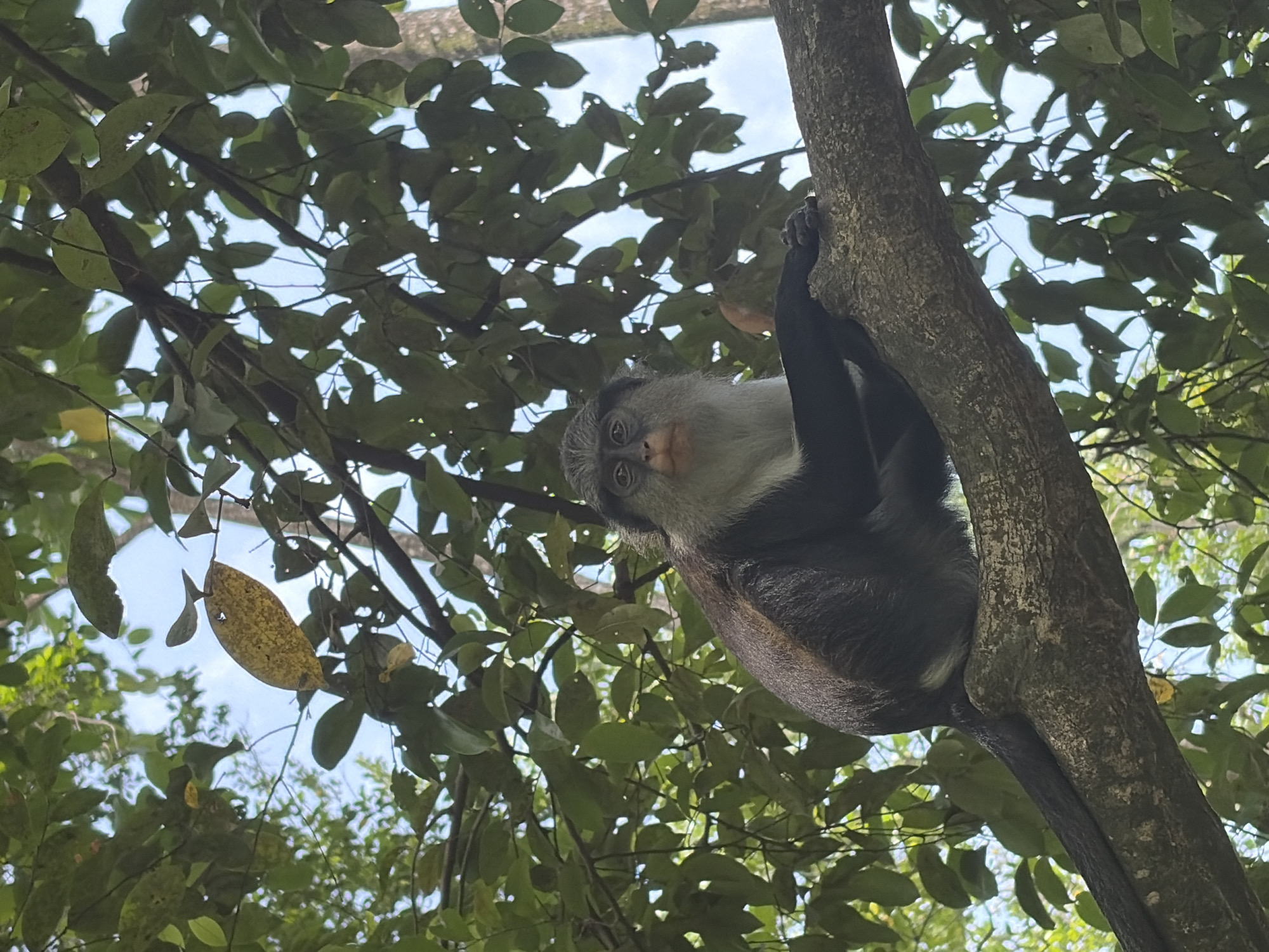 Visitor documents wildlife and walkways at Lekki Conservation Centre