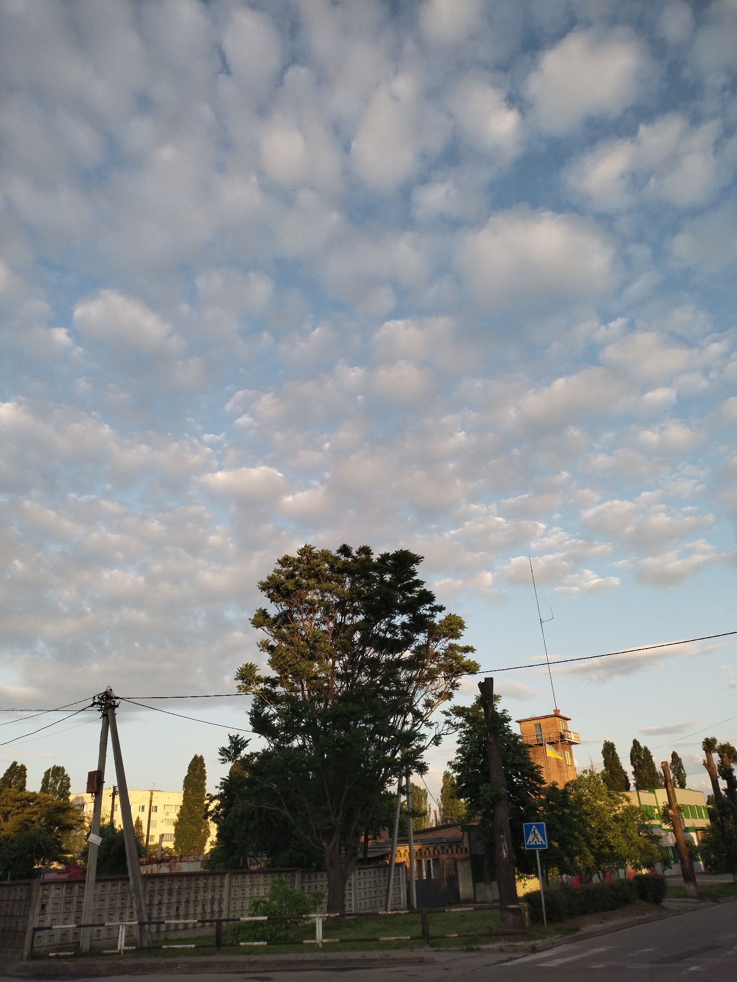 Afternoon dog walk documented in Horishni Plavni, Ukraine