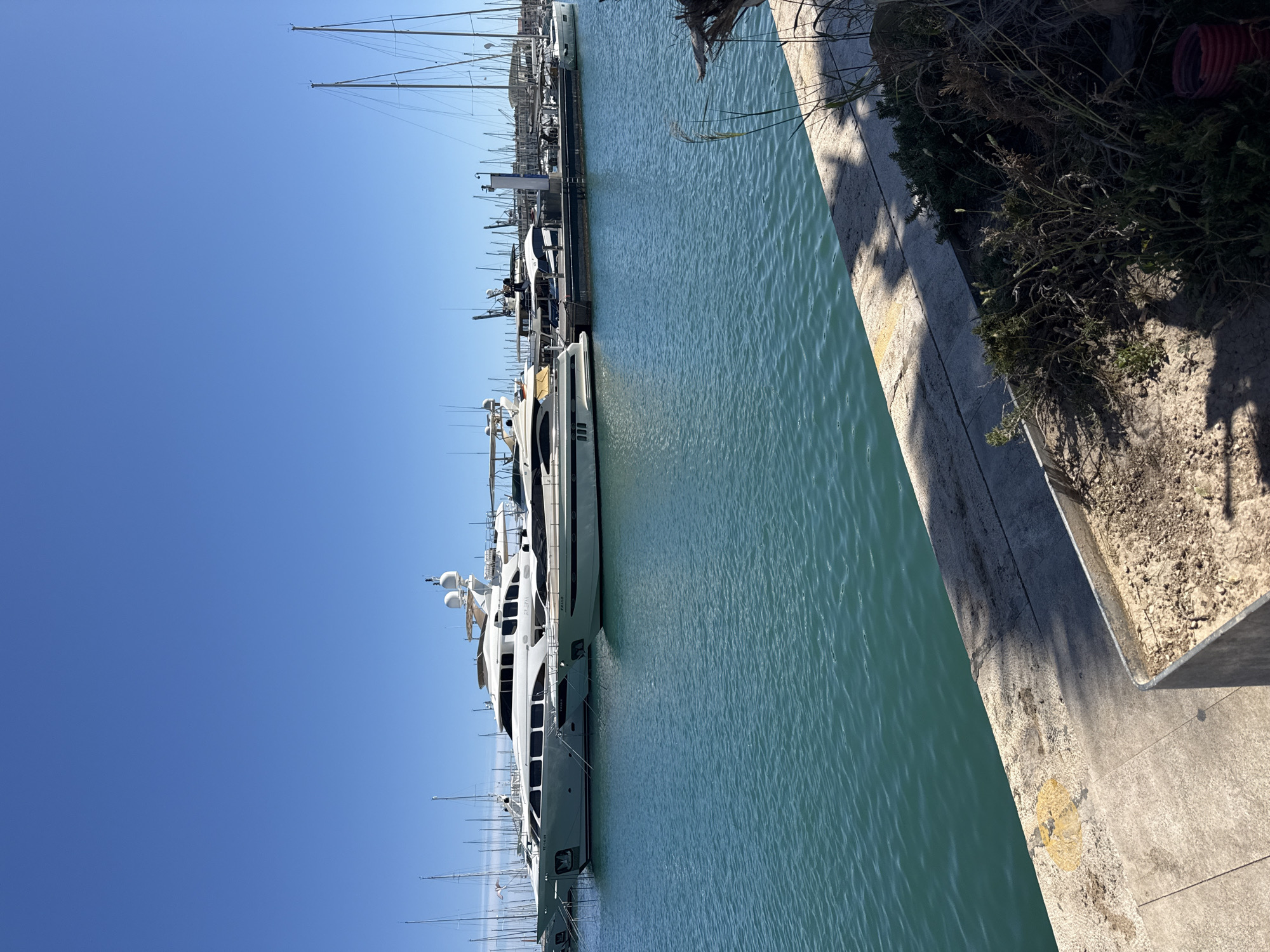 Afternoon marina and shop scenes documented in Alicante