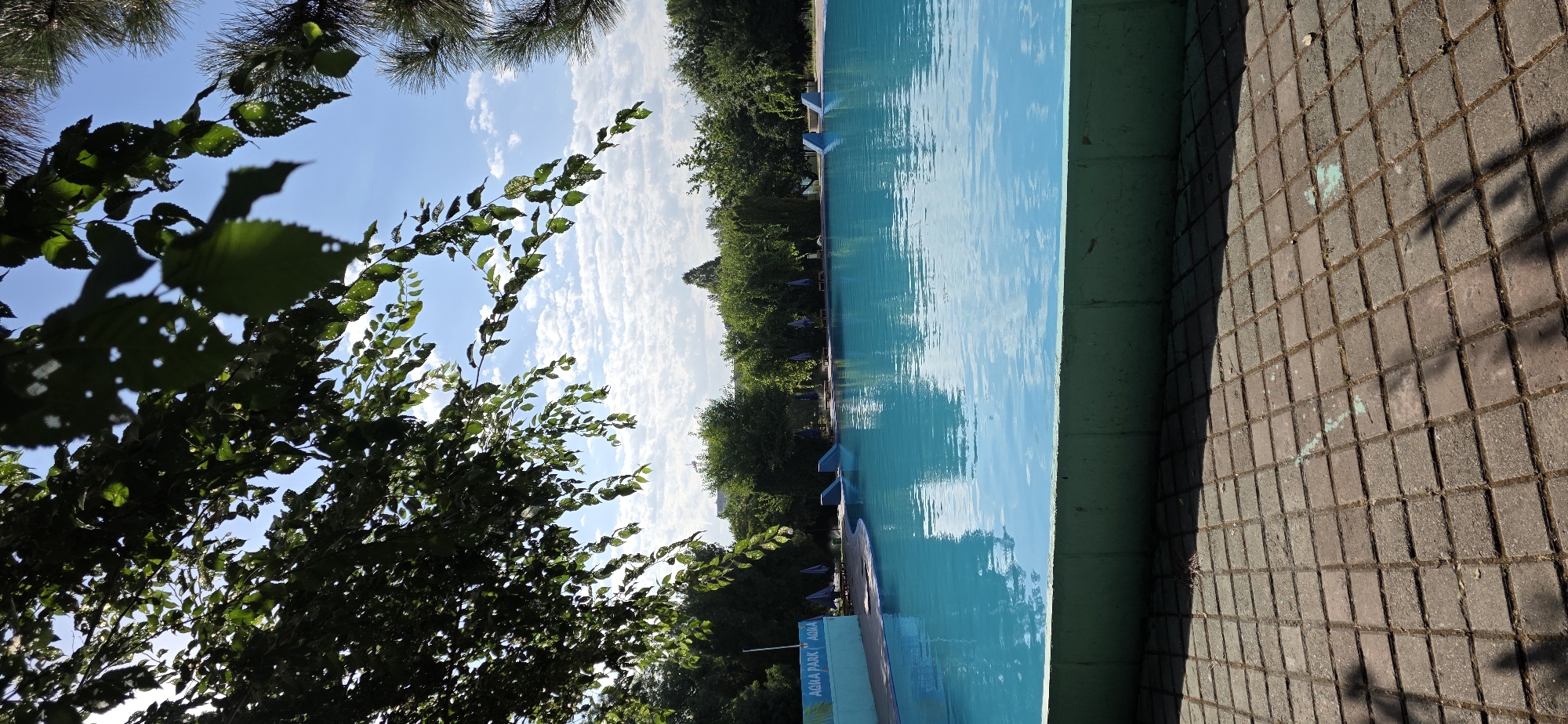 Tashkent park morning: pool, river, hibiscus, and city views