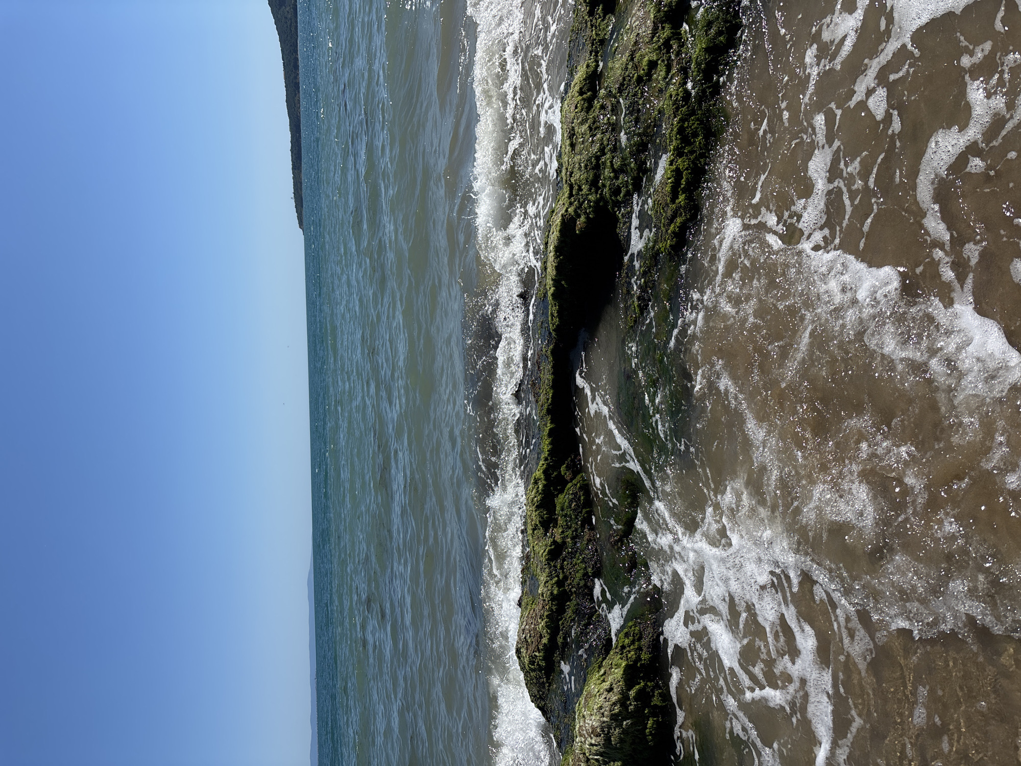 Rocky Black Sea shoreline on a clear summer morning in Burgas