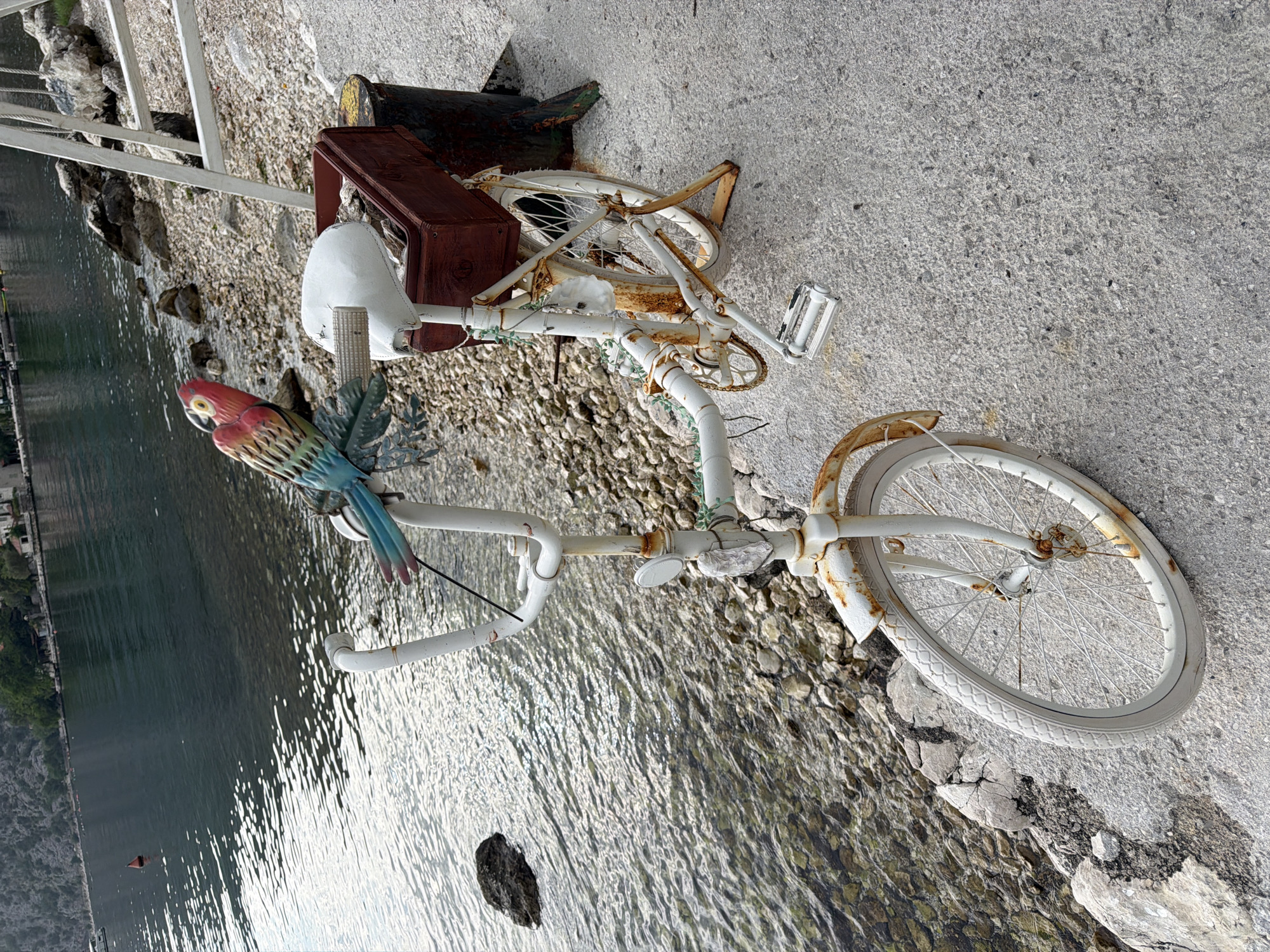 Seafood dining experience captured at Bay of Kotor shoreline